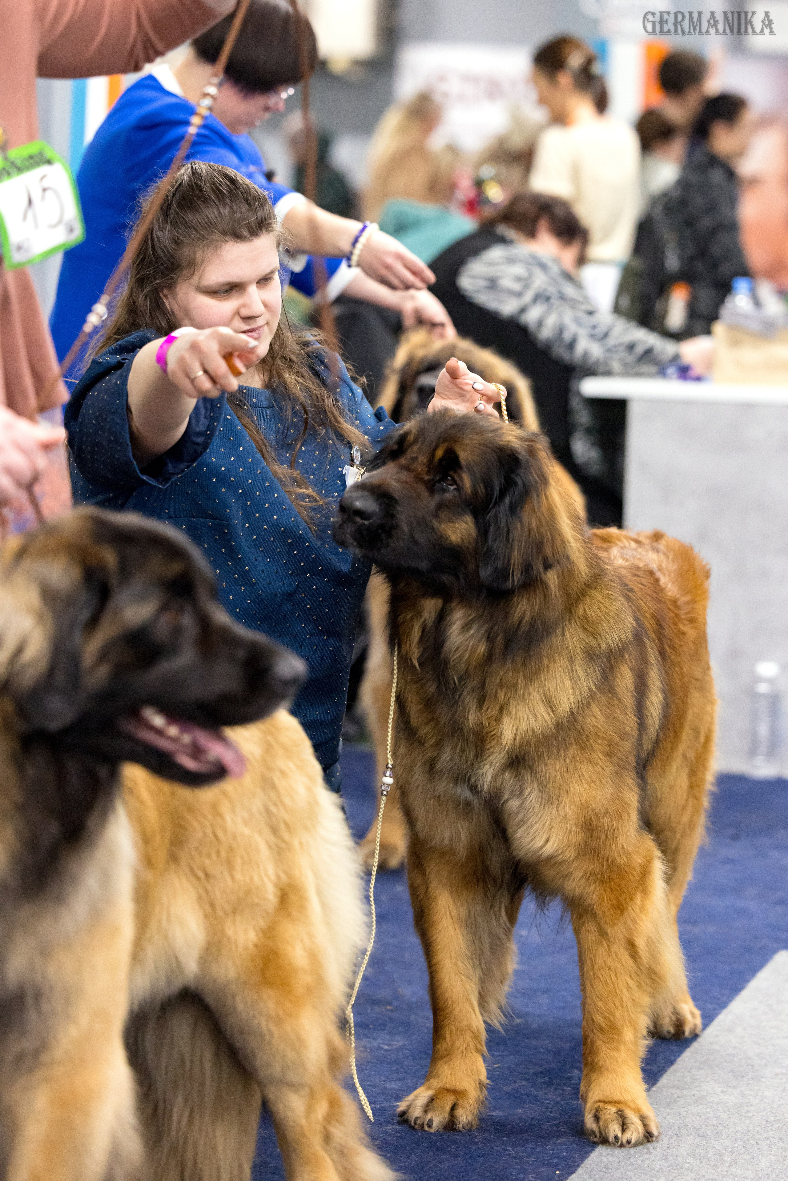 Сфера 28.01. и 4.02.2024. Фотограф-анималист Юлия Германика