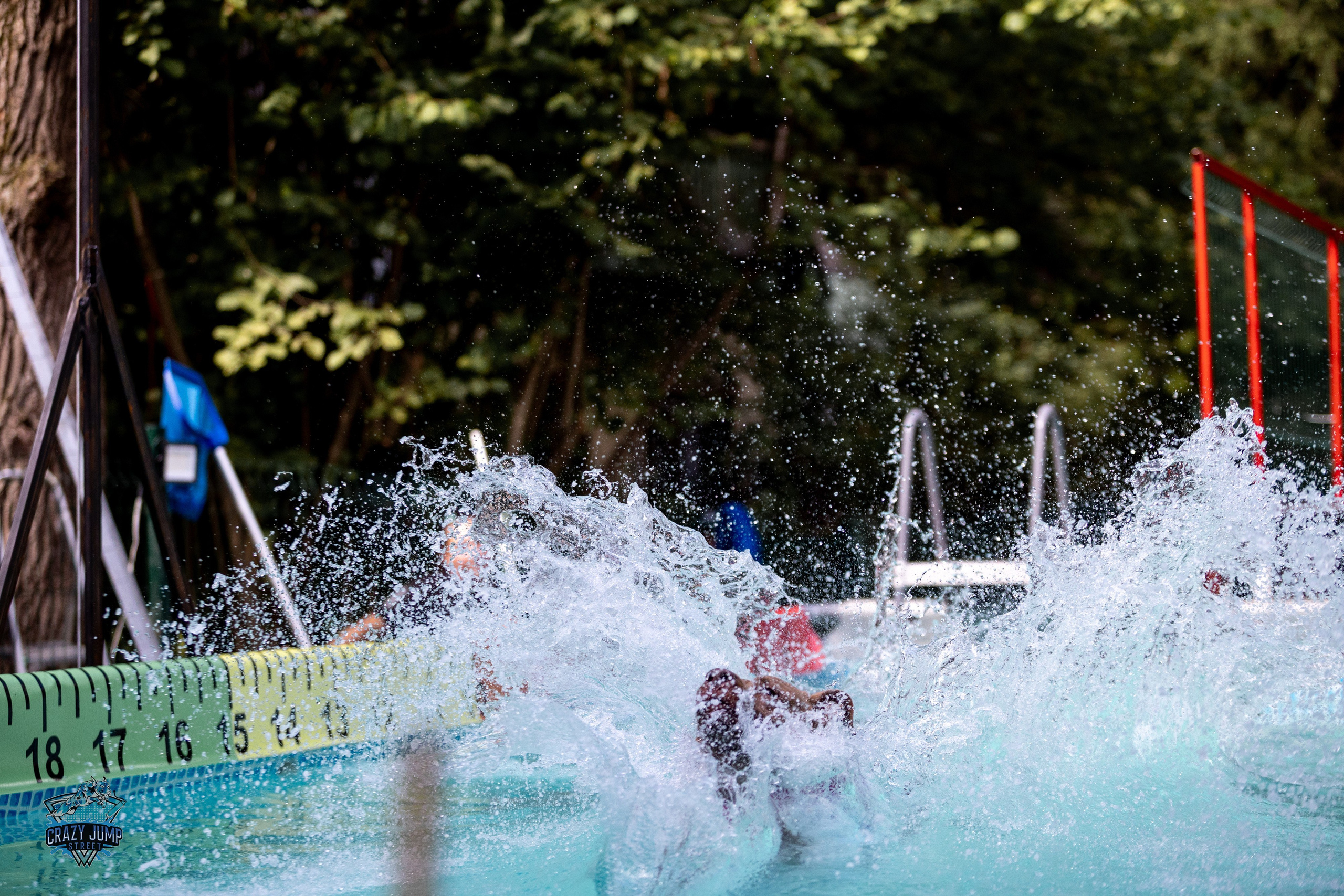 Собаки, спорт, Док дайвинг. Свадебный и репортажный фотограф в Москве и Московской области
