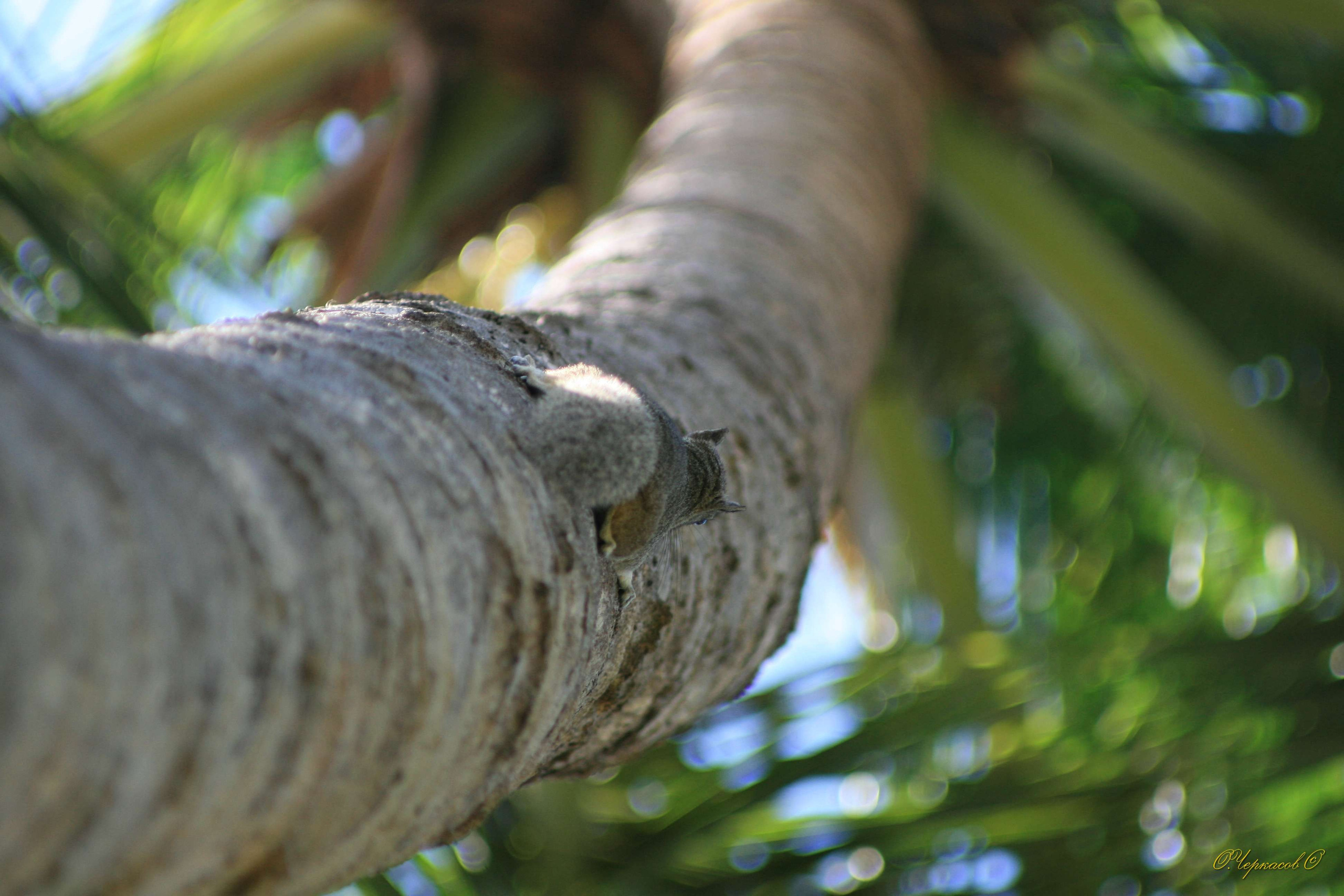 Вьетнам 2008 г. Улица, люди, жизнь…