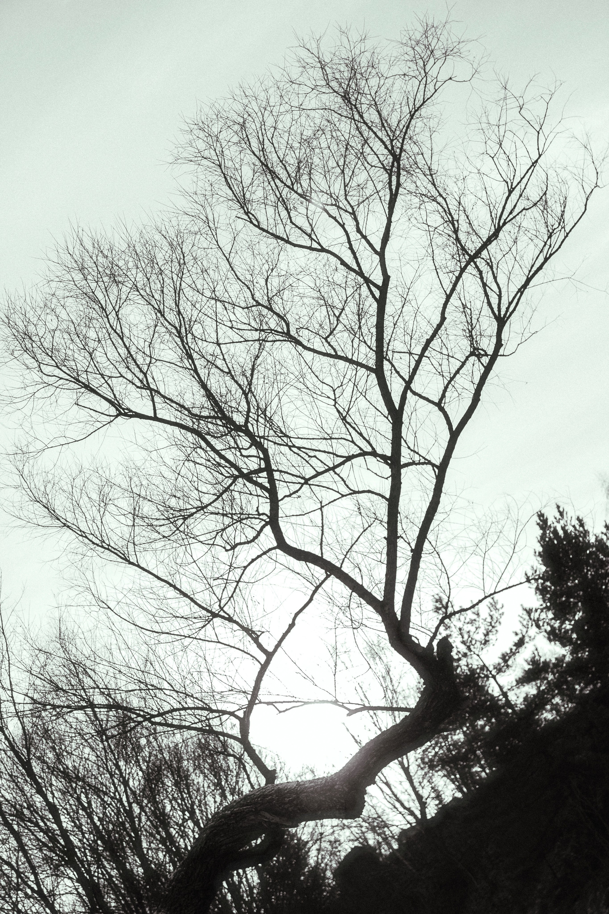 Голубые озера. Главная