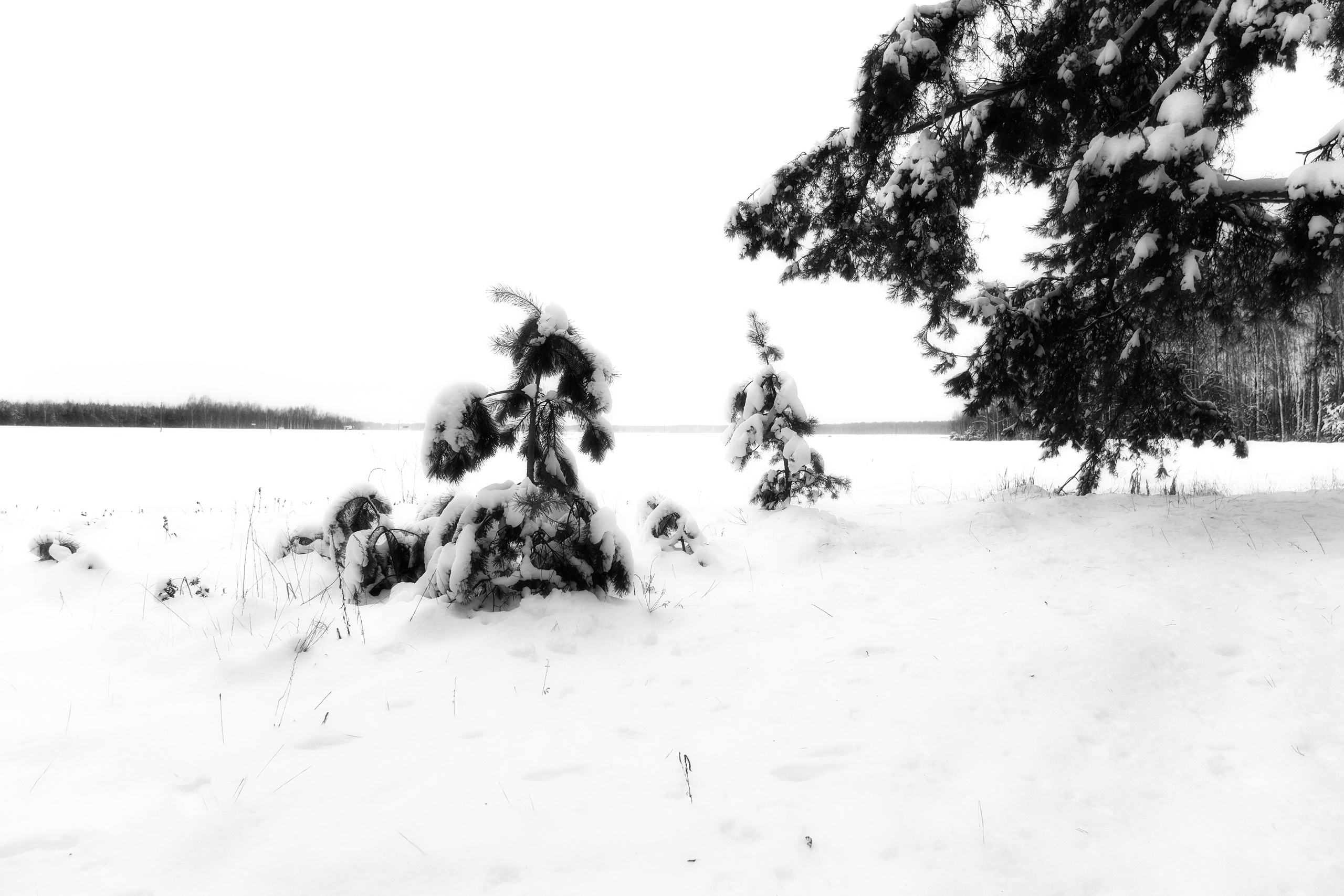 ЧБ  пейзажи (BnW landscape). Фотограф (photographer) Lischinski Vitaliy