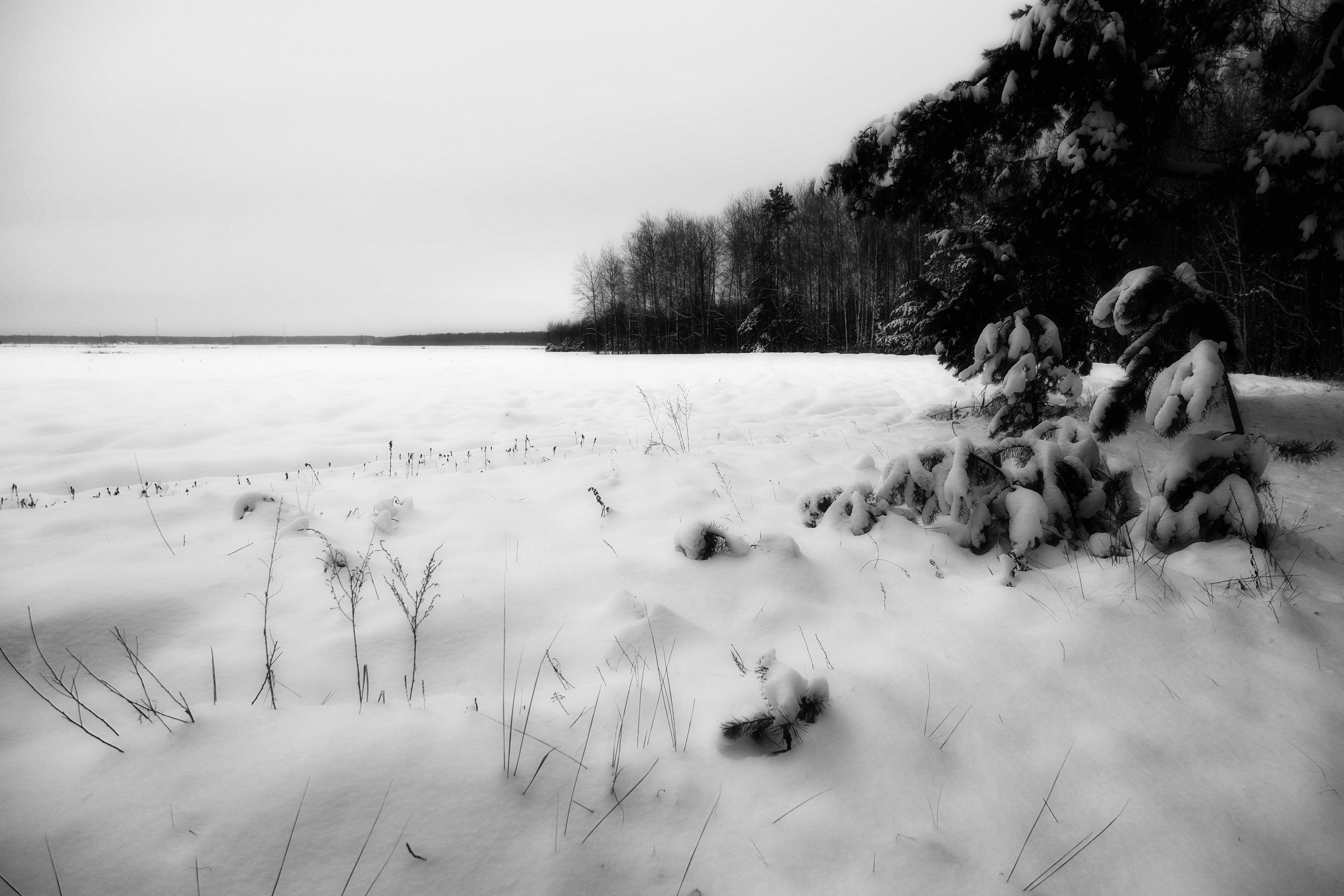 ЧБ  пейзажи (BnW landscape). Фотограф (photographer) Lischinski Vitaliy