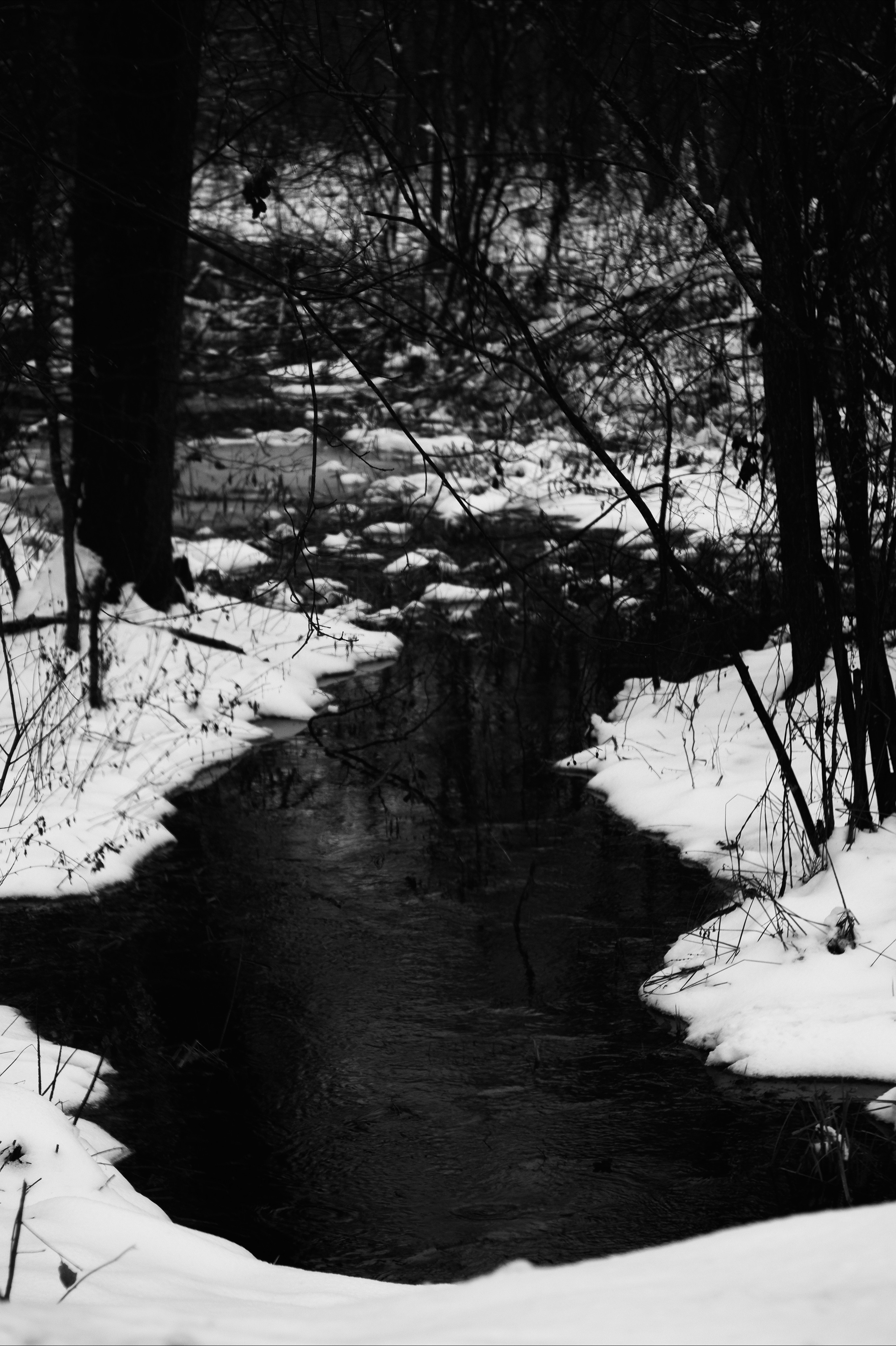 ЧБ  пейзажи (BnW landscape). Фотограф (photographer) Lischinski Vitaliy