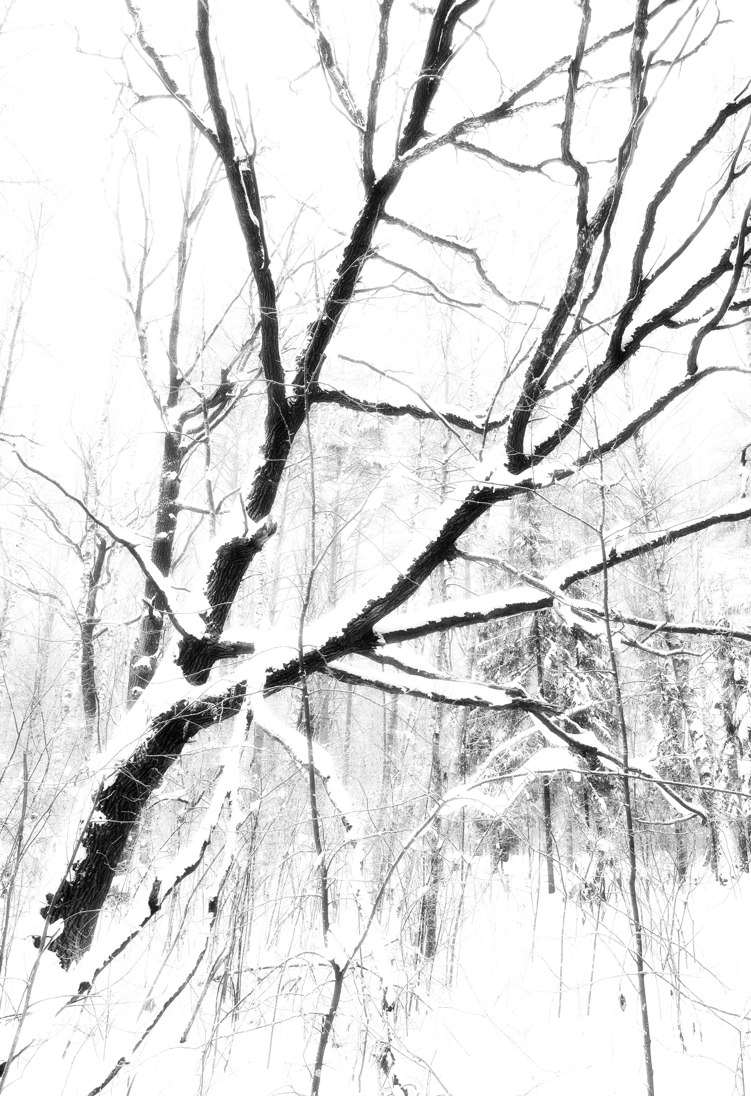 ЧБ  пейзажи (BnW landscape). Фотограф (photographer) Lischinski Vitaliy