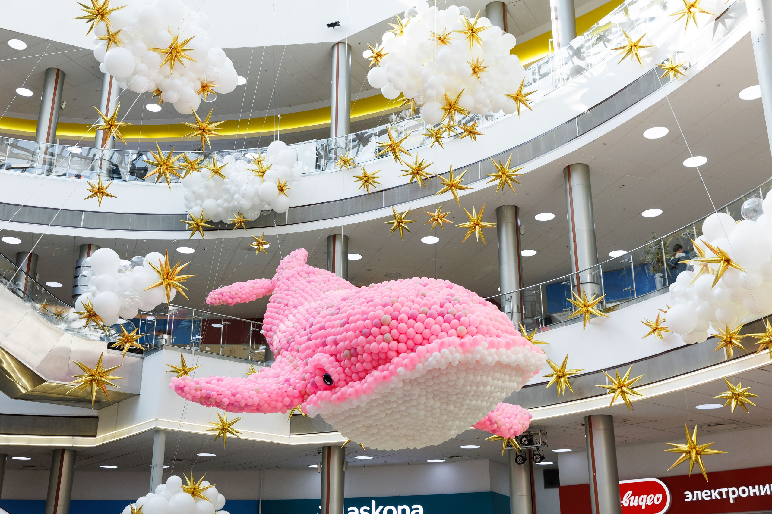 Умная весна 2025. Фотограф Новосибирск — Наталья Гресь