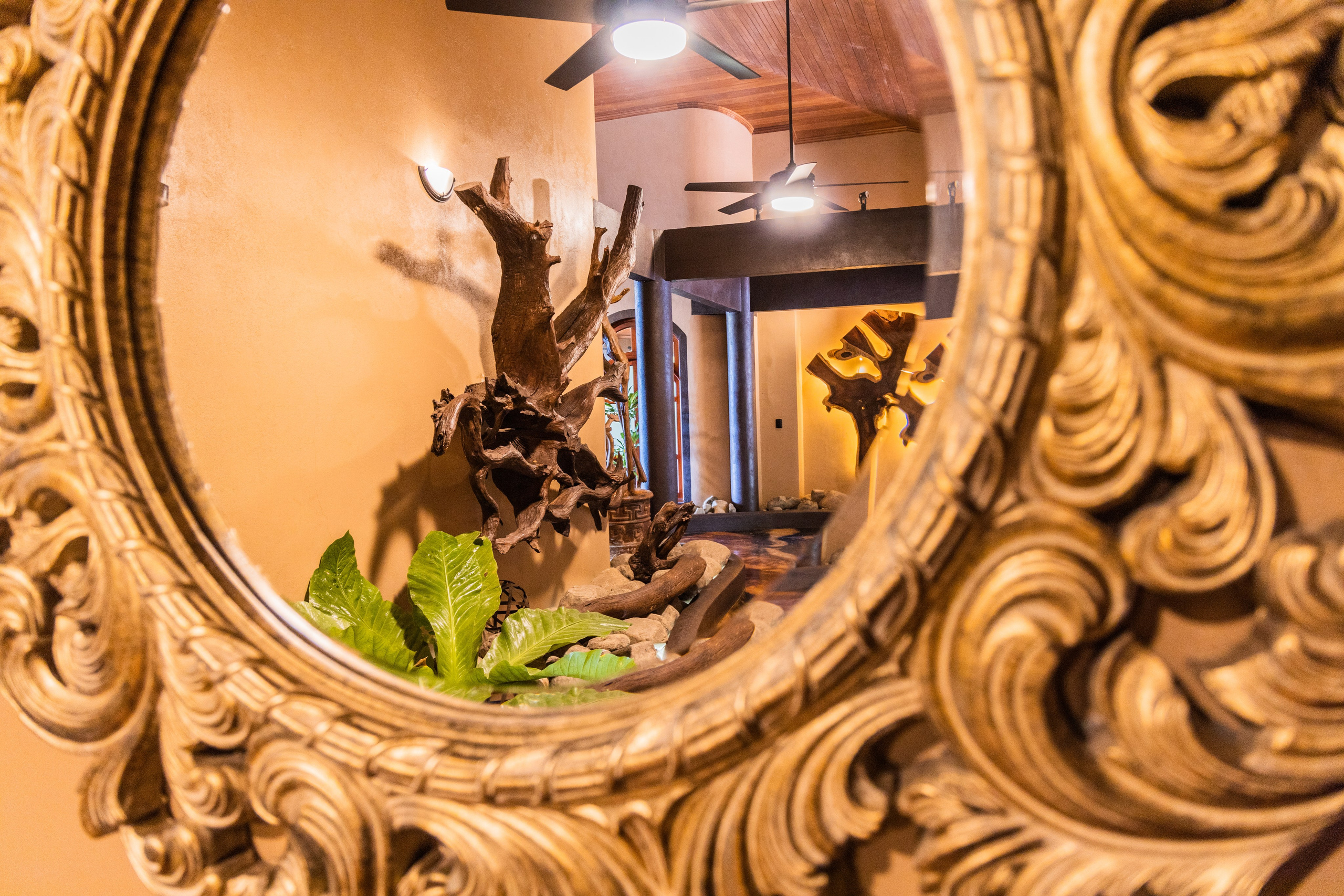 Real estate property for rent in Costa Rica. Family, portrait, content photo in Costa Rica Evgeniya Besprozvannykh