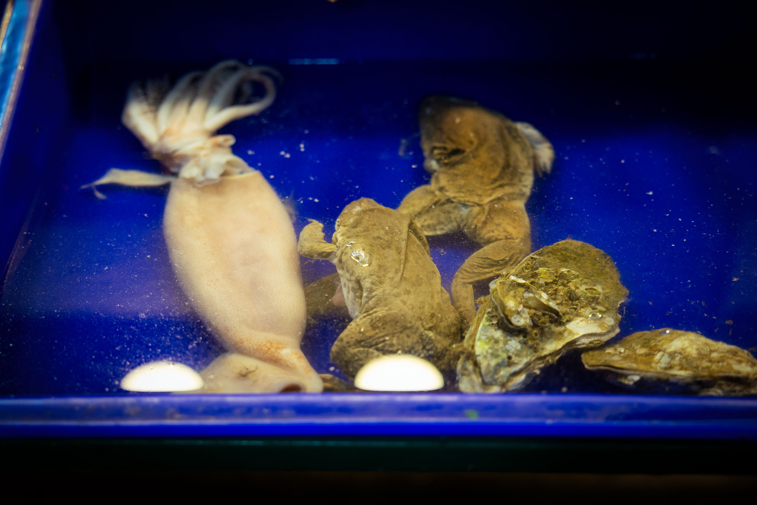 Таиланд (зима 2025). Фотограф Виноградов Константин