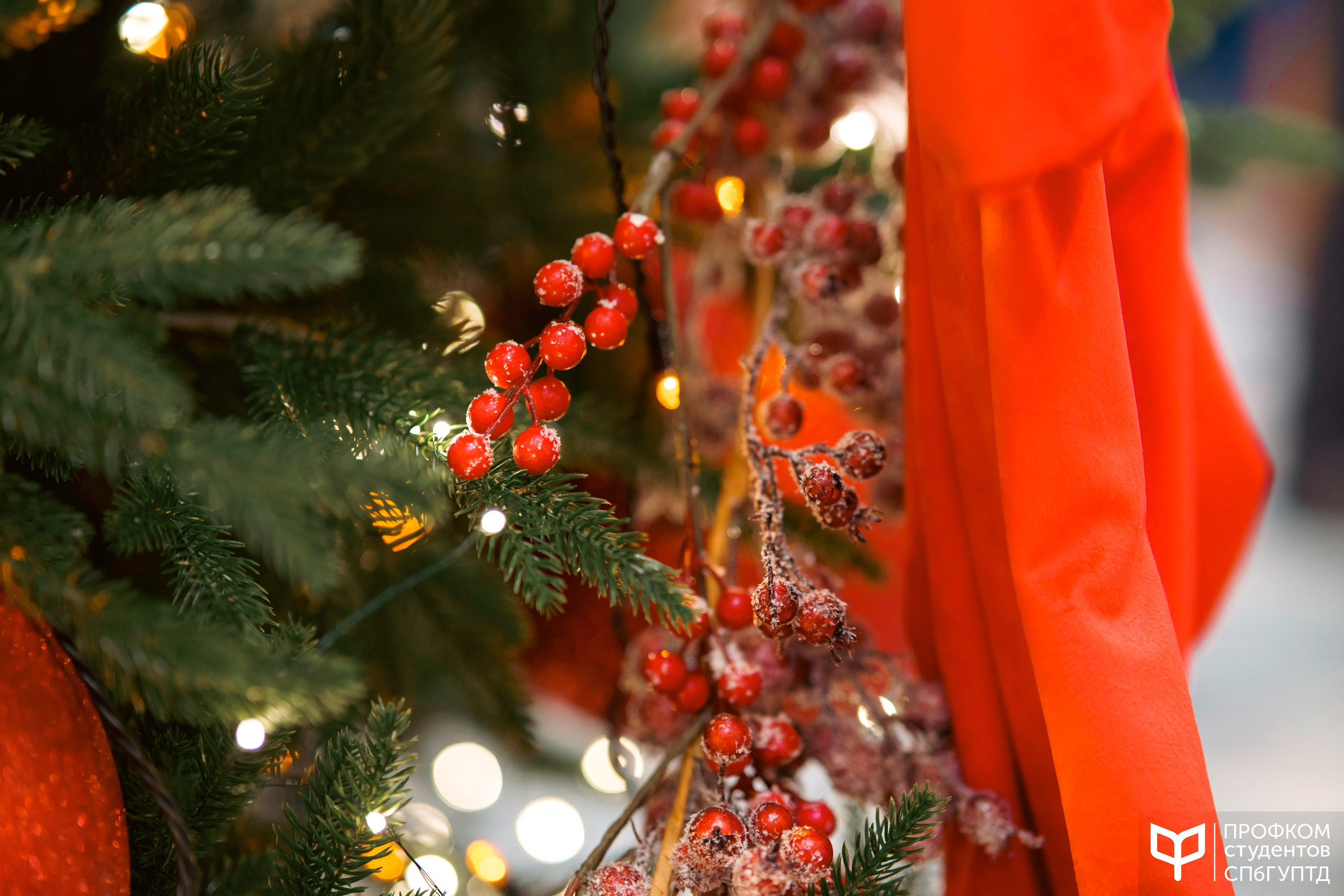 Новогодняя ярмарка 2024. Фотограф в Санкт-Петербурге Ибрагимова Алина