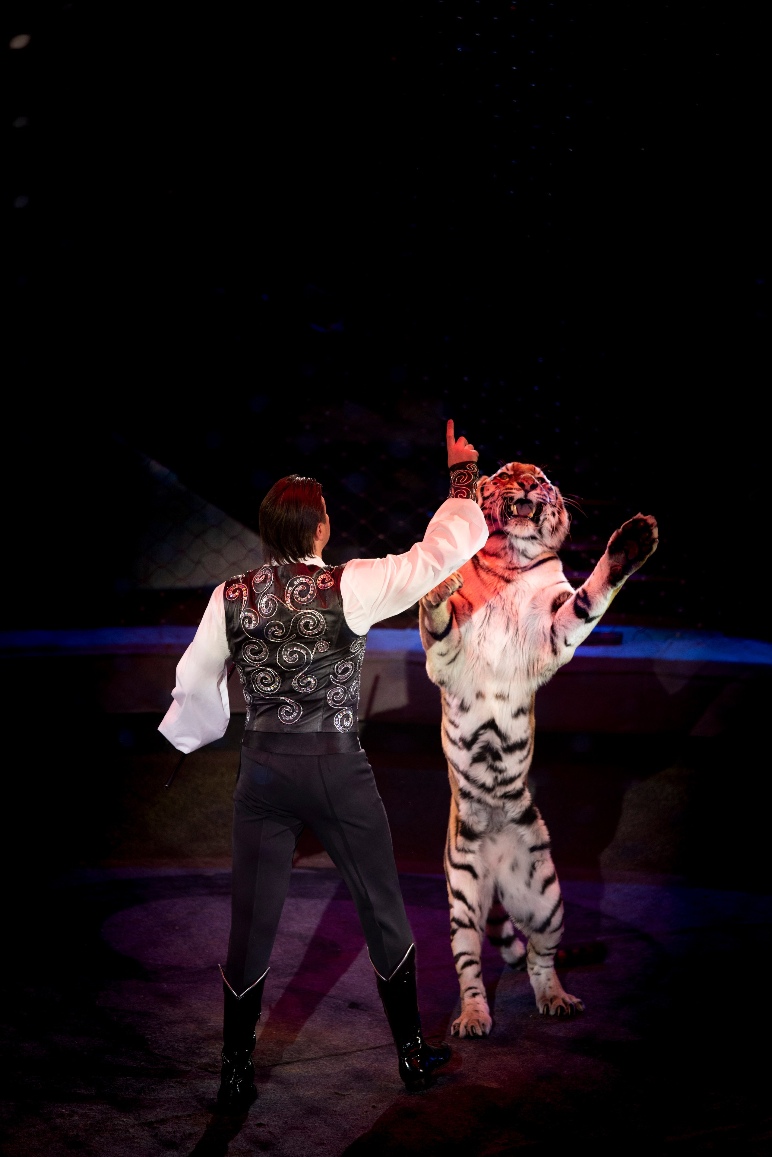 Цирк Запашных — Шоу И100рия. Женский и семейный фотограф в Москве, Железнодорожном Анастасия Кинёва