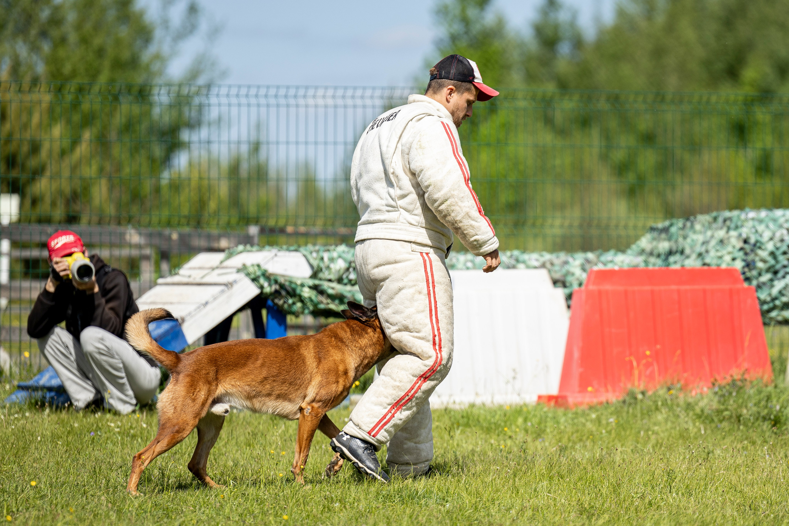 Испытания по мондьорингу в Нижнем Новгороде. Фотограф-анималист Анна Маринич