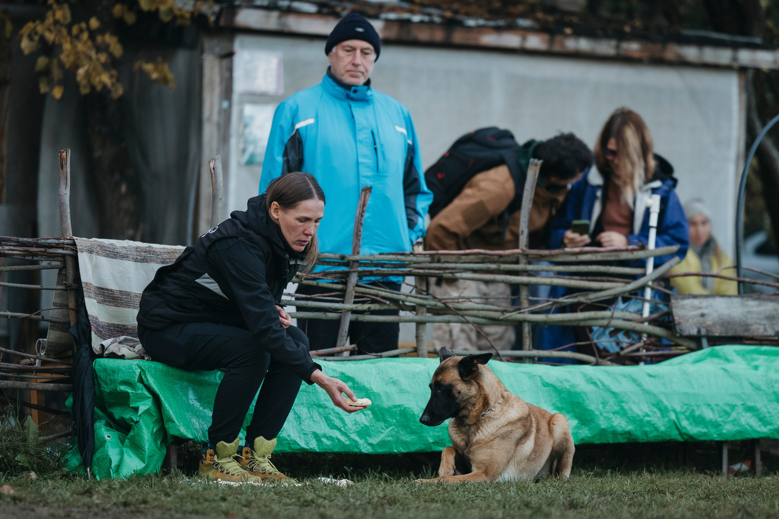 Испытания по мондьорингу г. Пушкин 29.09.2024. Фотограф-анималист Анна Маринич