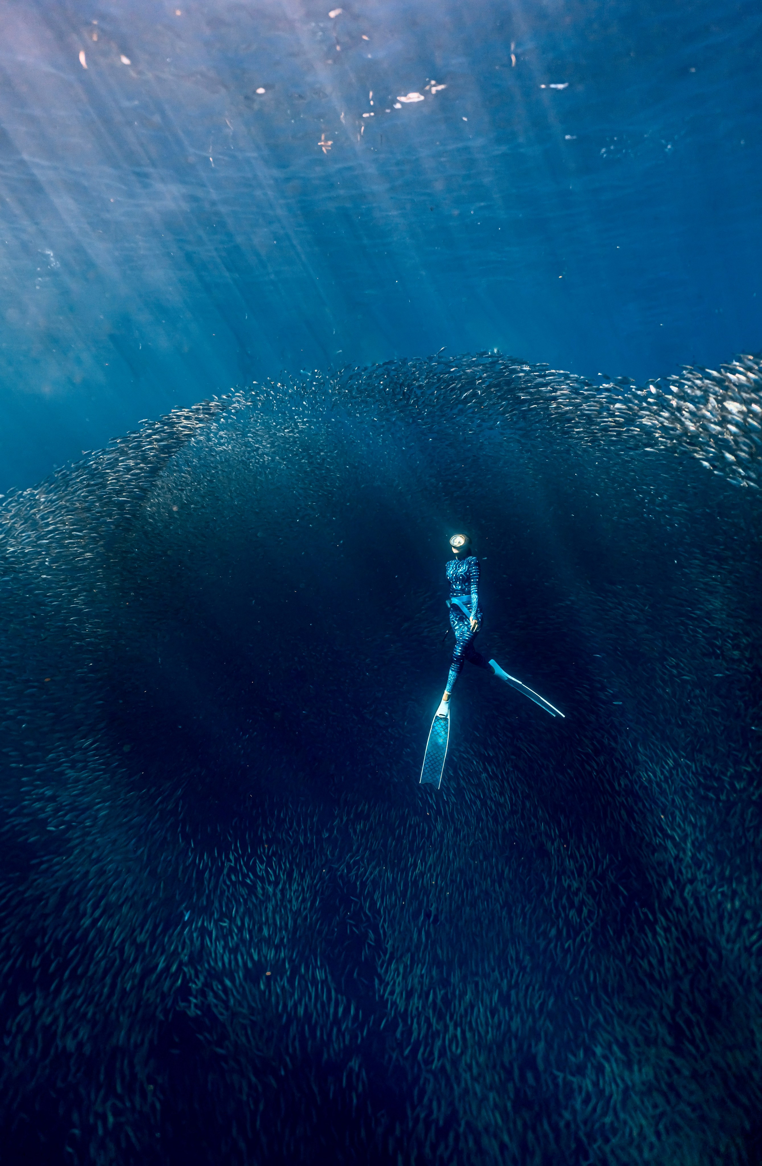 Фотосессия с сардинами (+каньон). Underwater Photographer in the Philippines — Daria Sinitsina