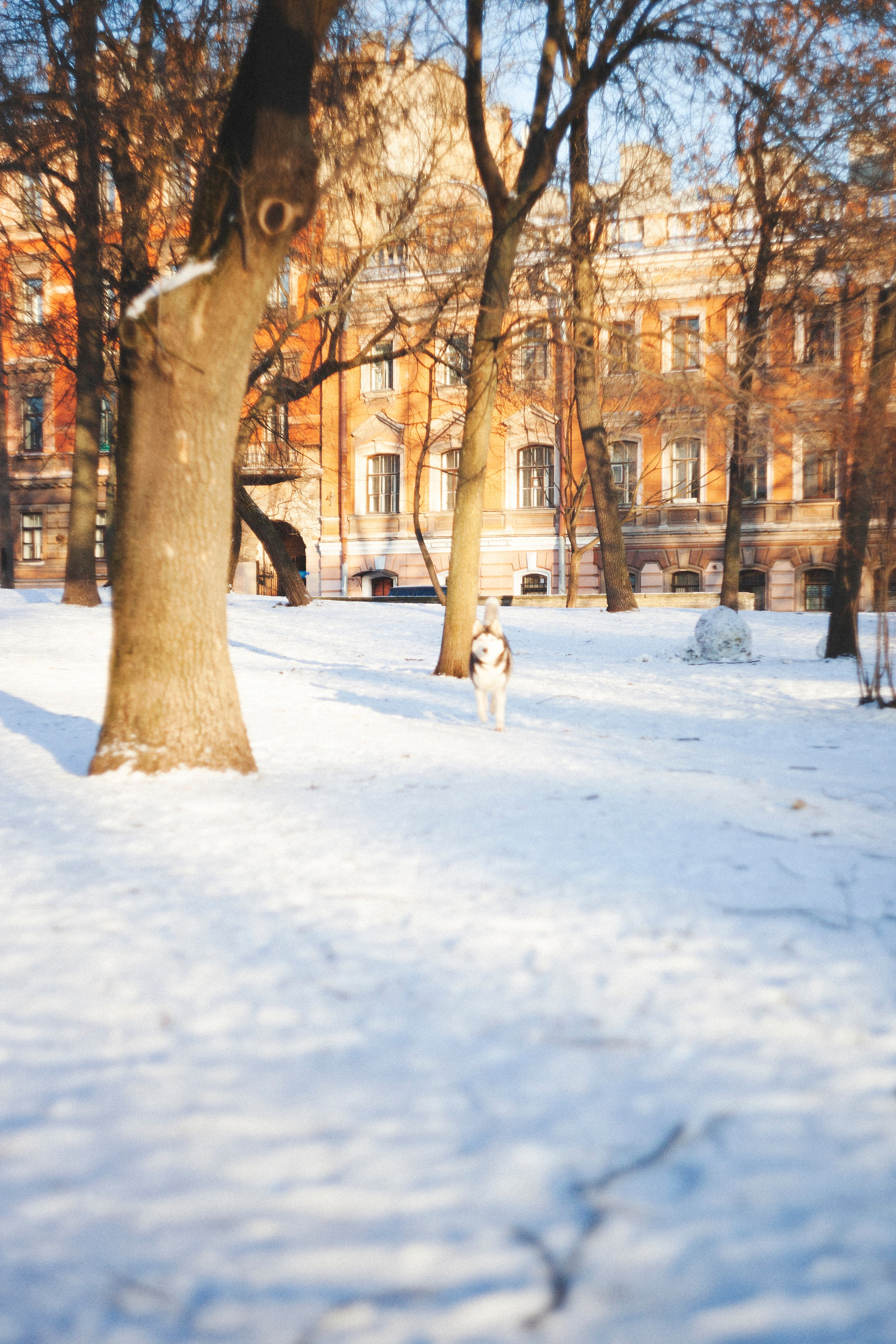 В Алексеевском саду. Фотограф Адигамова Юлия в Петербурге