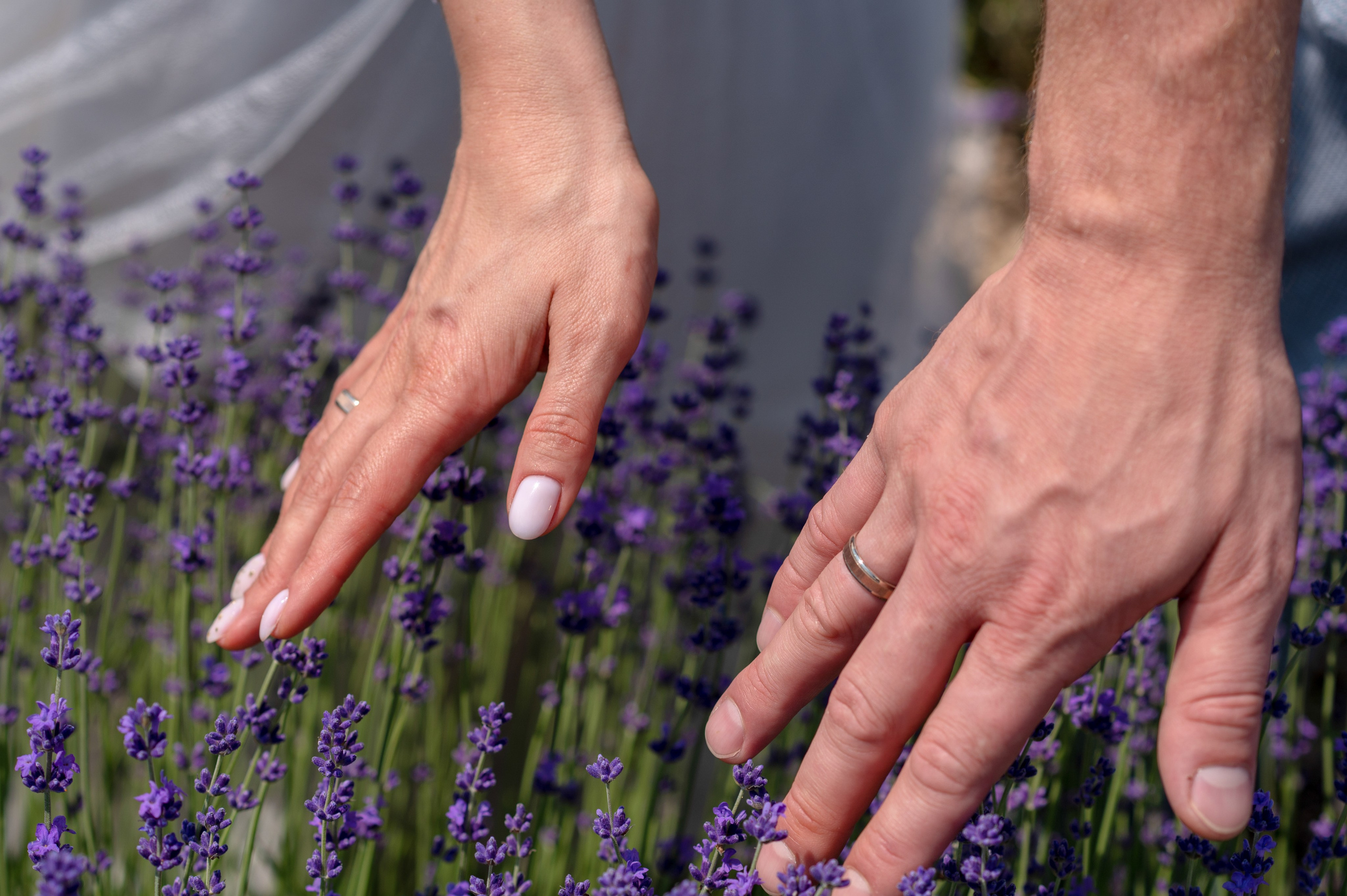 Свадебная фотосъемка. Свадебный и семейный фотограф Симферополь Крым Юлия Титова