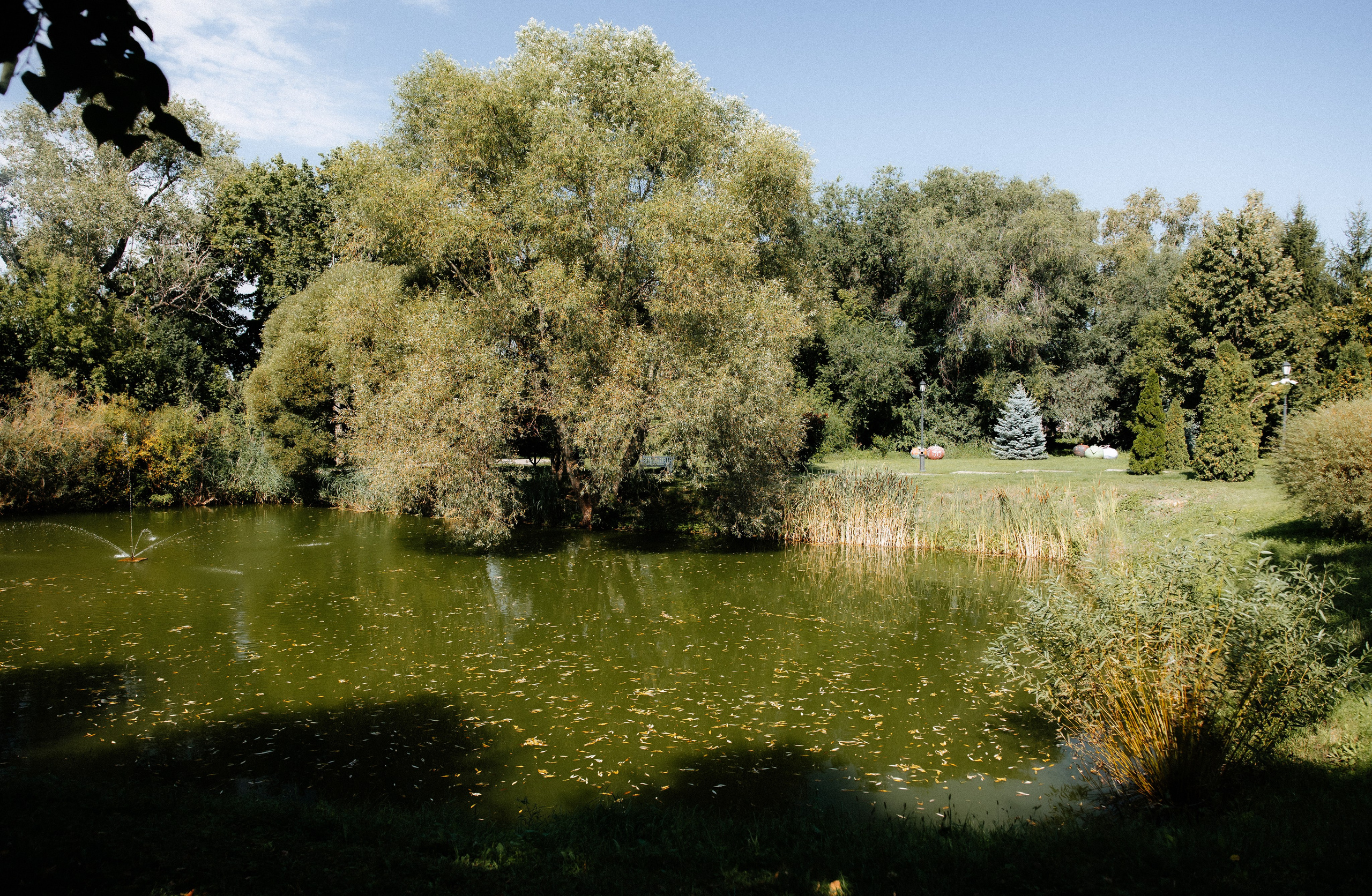 Ирина и Александр. Алена Бадамшина — свадебный фотограф Воронеж / Москва