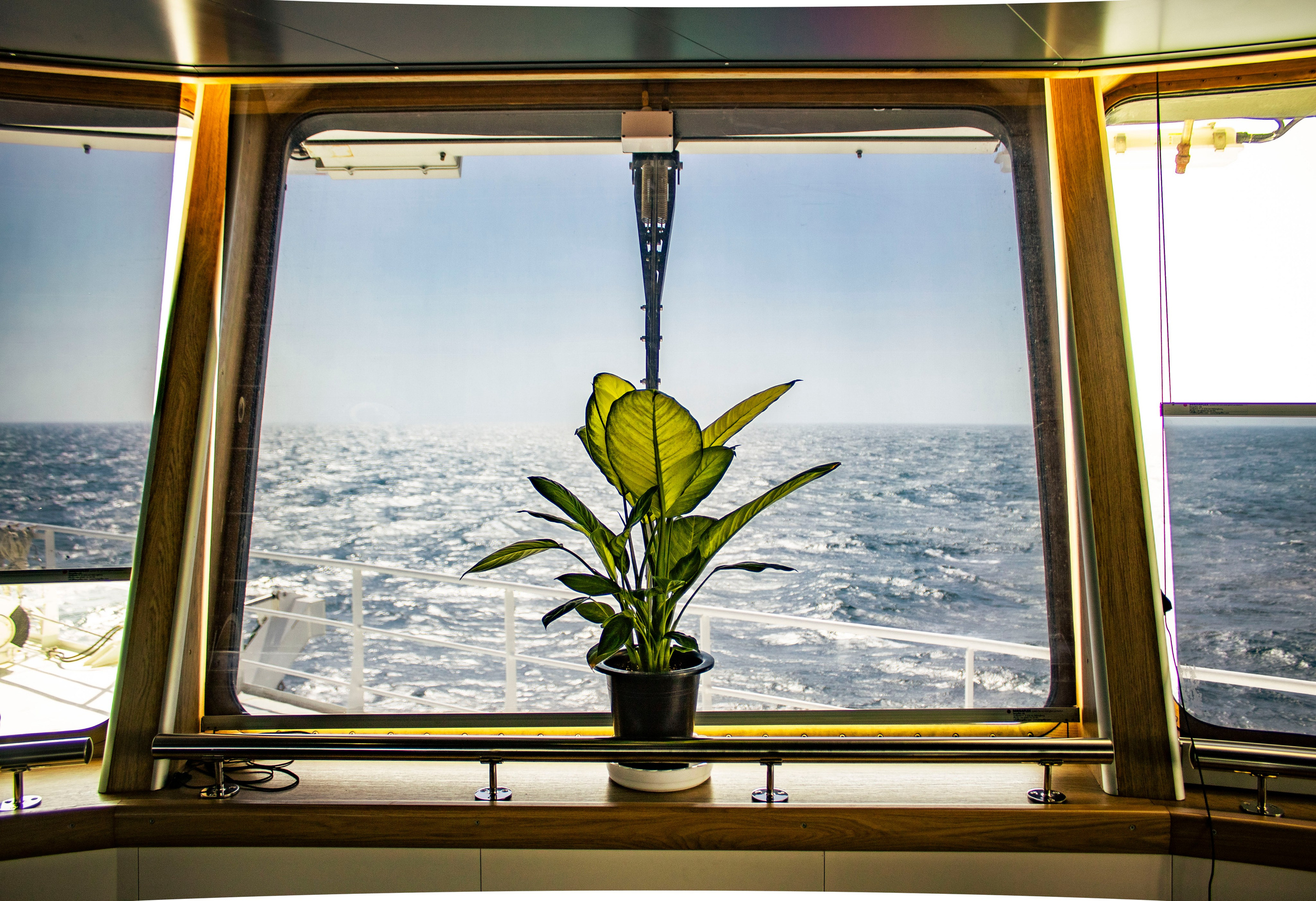 Когда я в море. Часть 1. Фотограф г. Владивосток