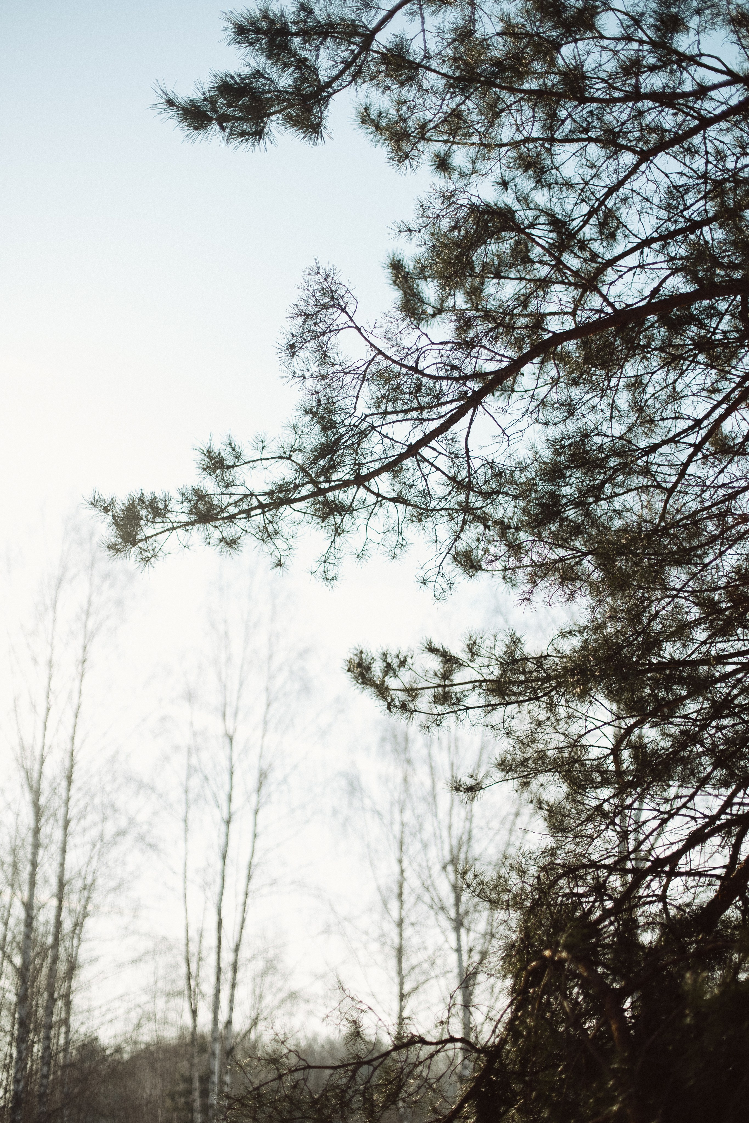 Экопарк ПОЛЯНЫ. Главная