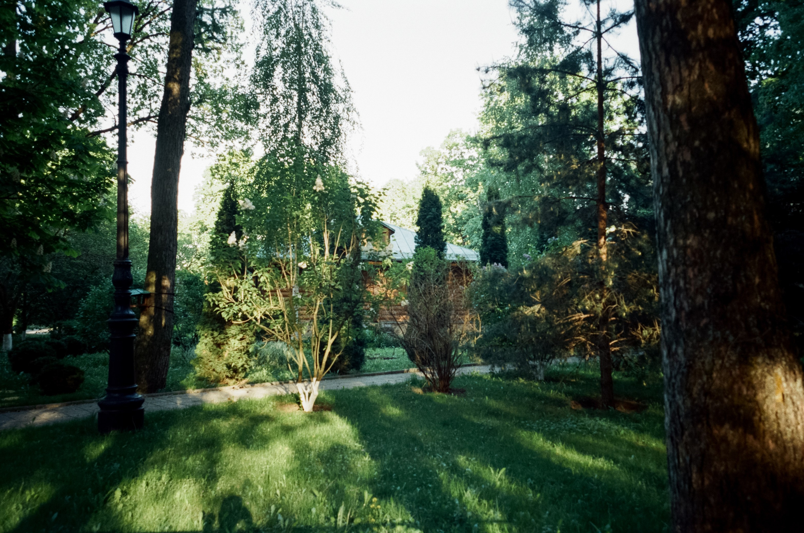 Ricoh GR10 / SFL 250D / Тестовая пленка у речки в Строгино