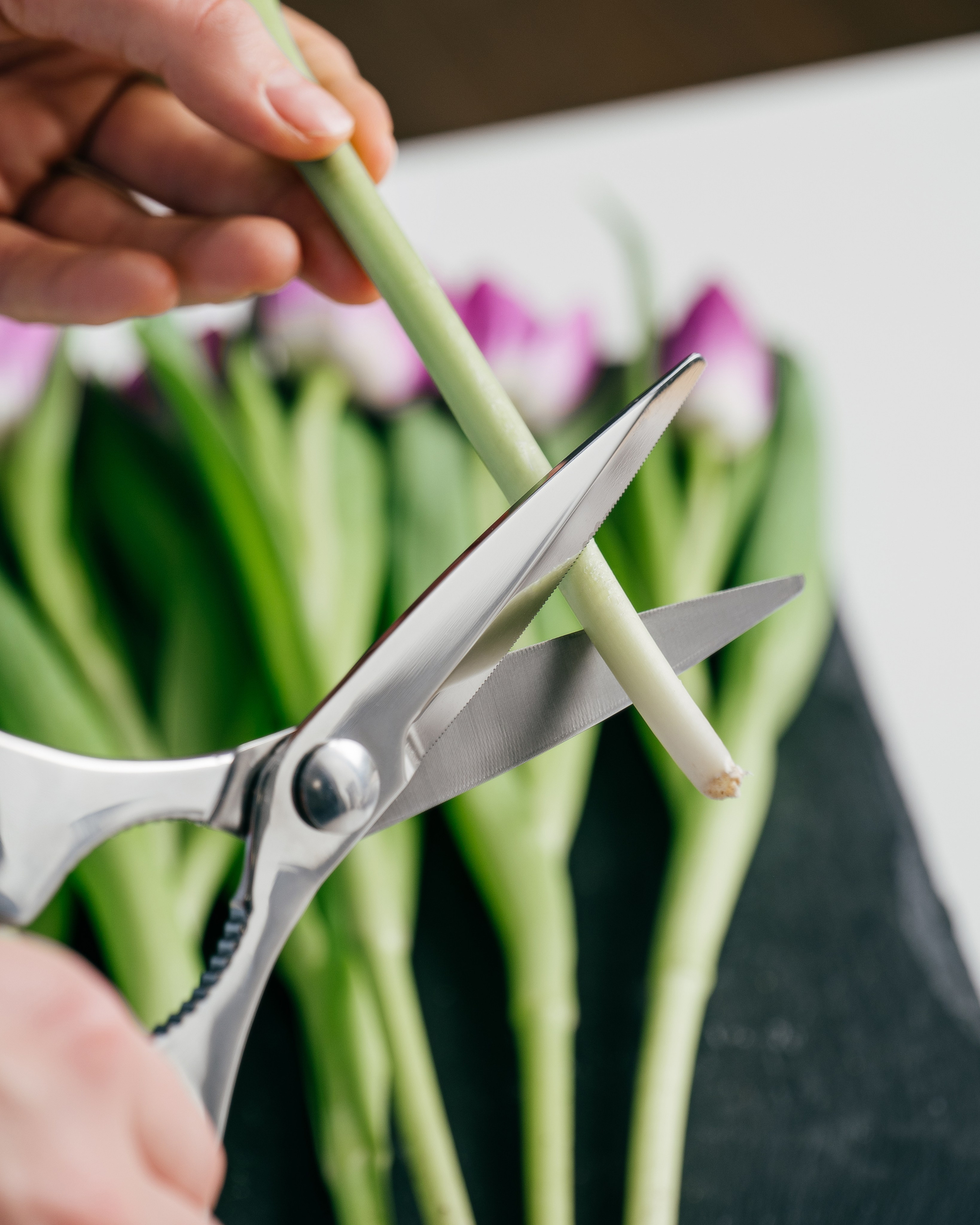 Product. Создание контента | Фото | Видеосъемка | Александр Ярков