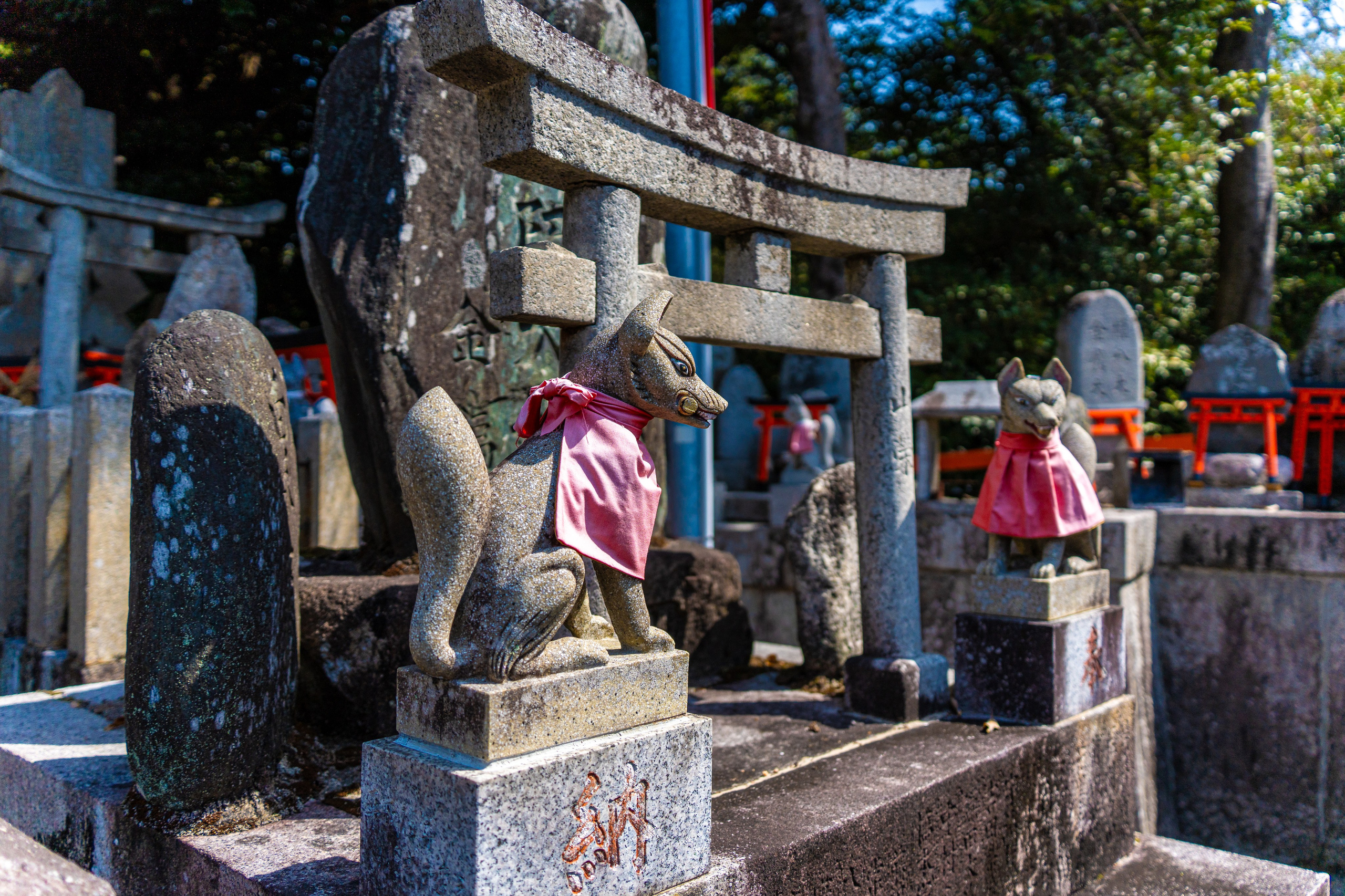 Япония, сакура. Творческие сьемки
