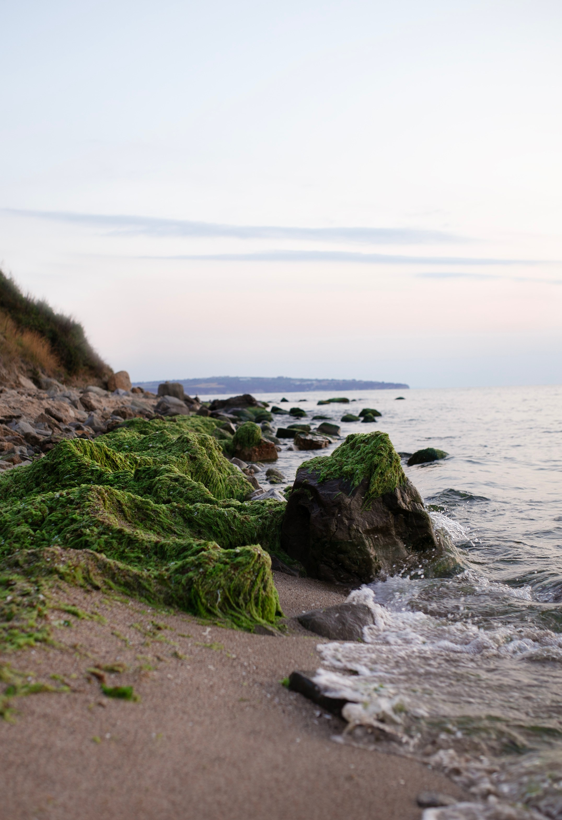 Болгария'24. Фотограф-портретист в Москве