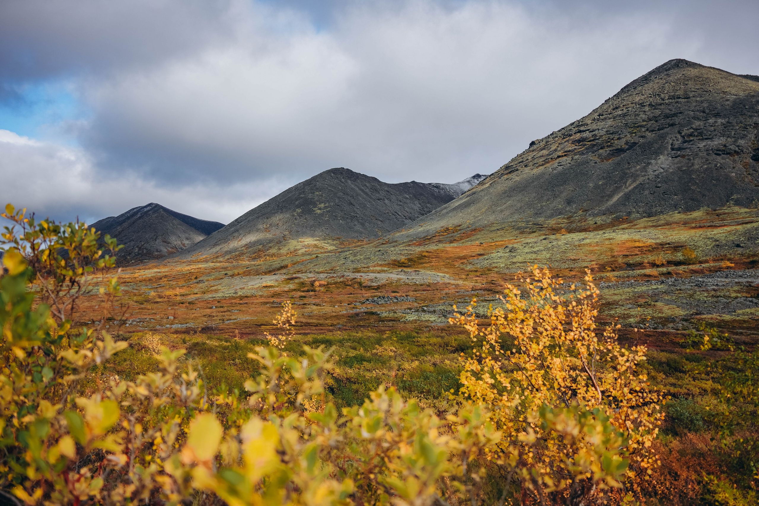 СЕВЕР. Event фотограф Степанова Александра