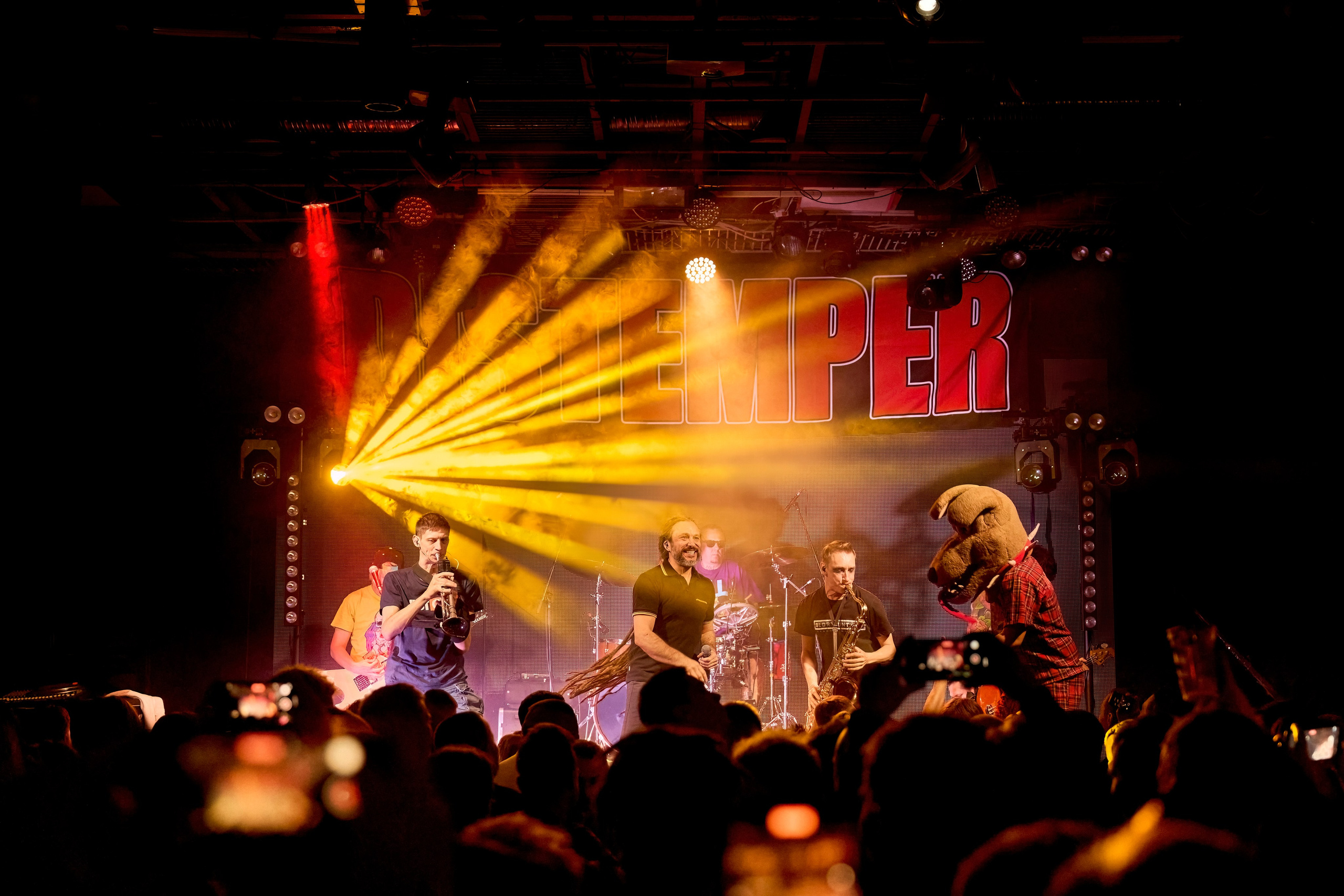 DISTEMPER / AGLOMERAT / 24.11.2023. Ekhovanov | фото- видеосъемка