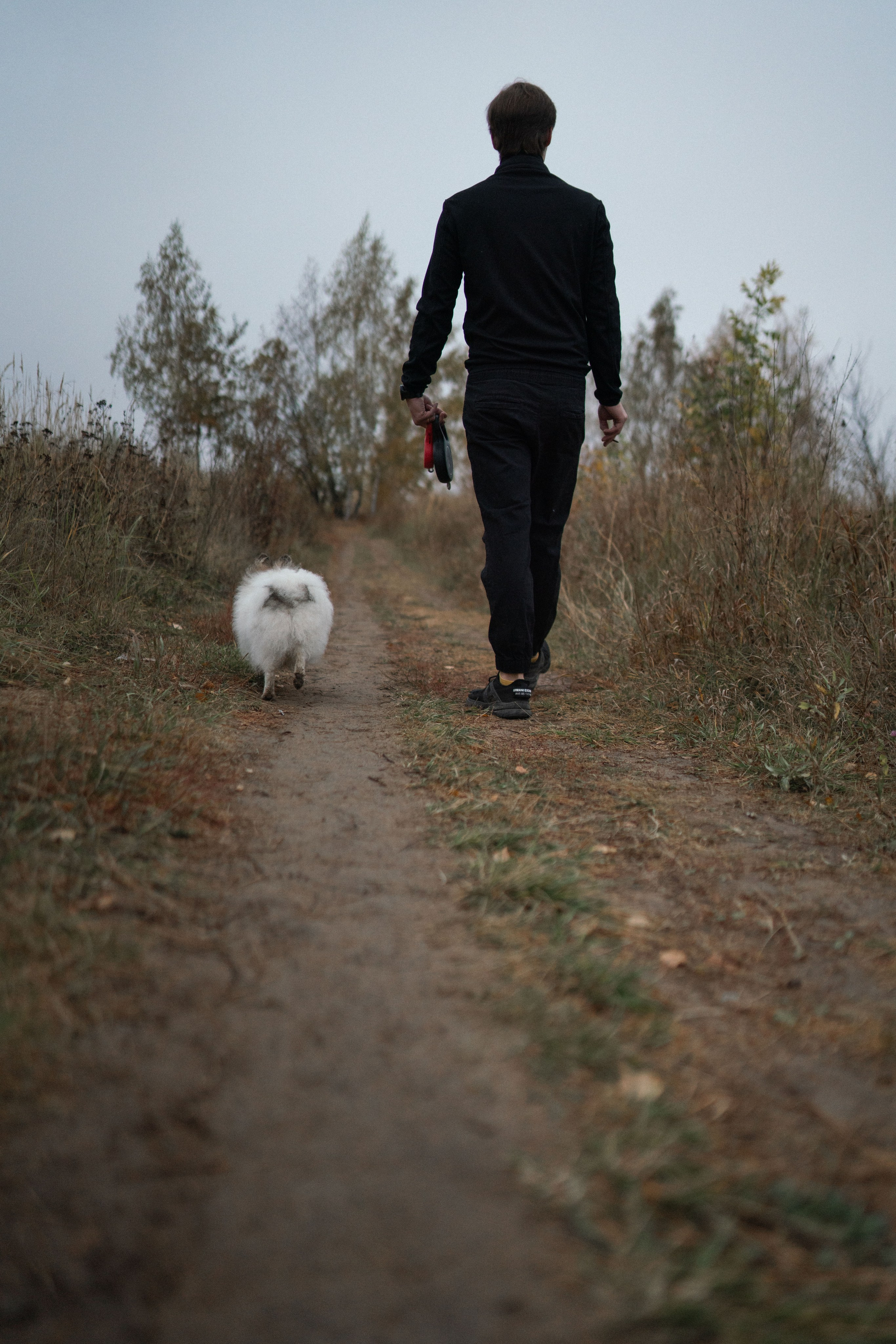 Фотосессия с собаками. Семейный фотограф в Рязани и Москве Victoria_Kros