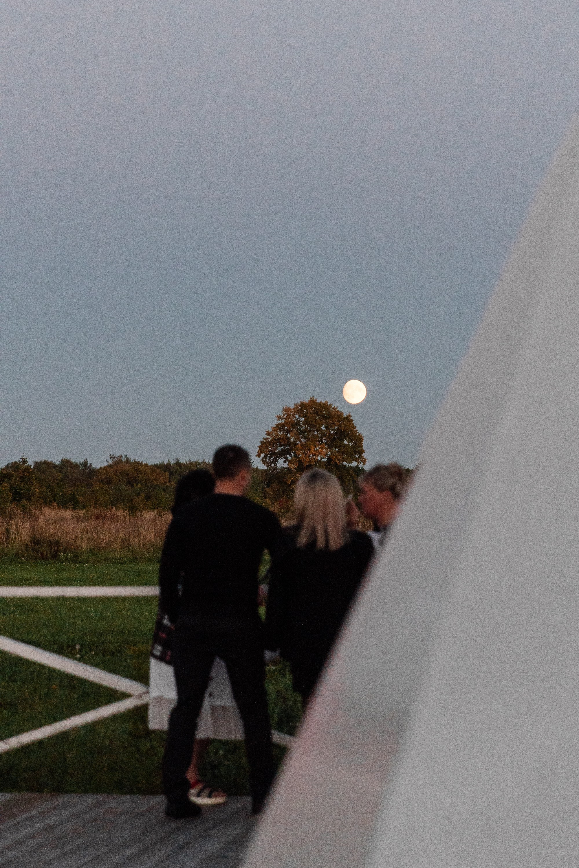СВАДЕБНЫЕ СЕРИИ. Свадебный фотограф Дмитрий Воробьев Ярославль