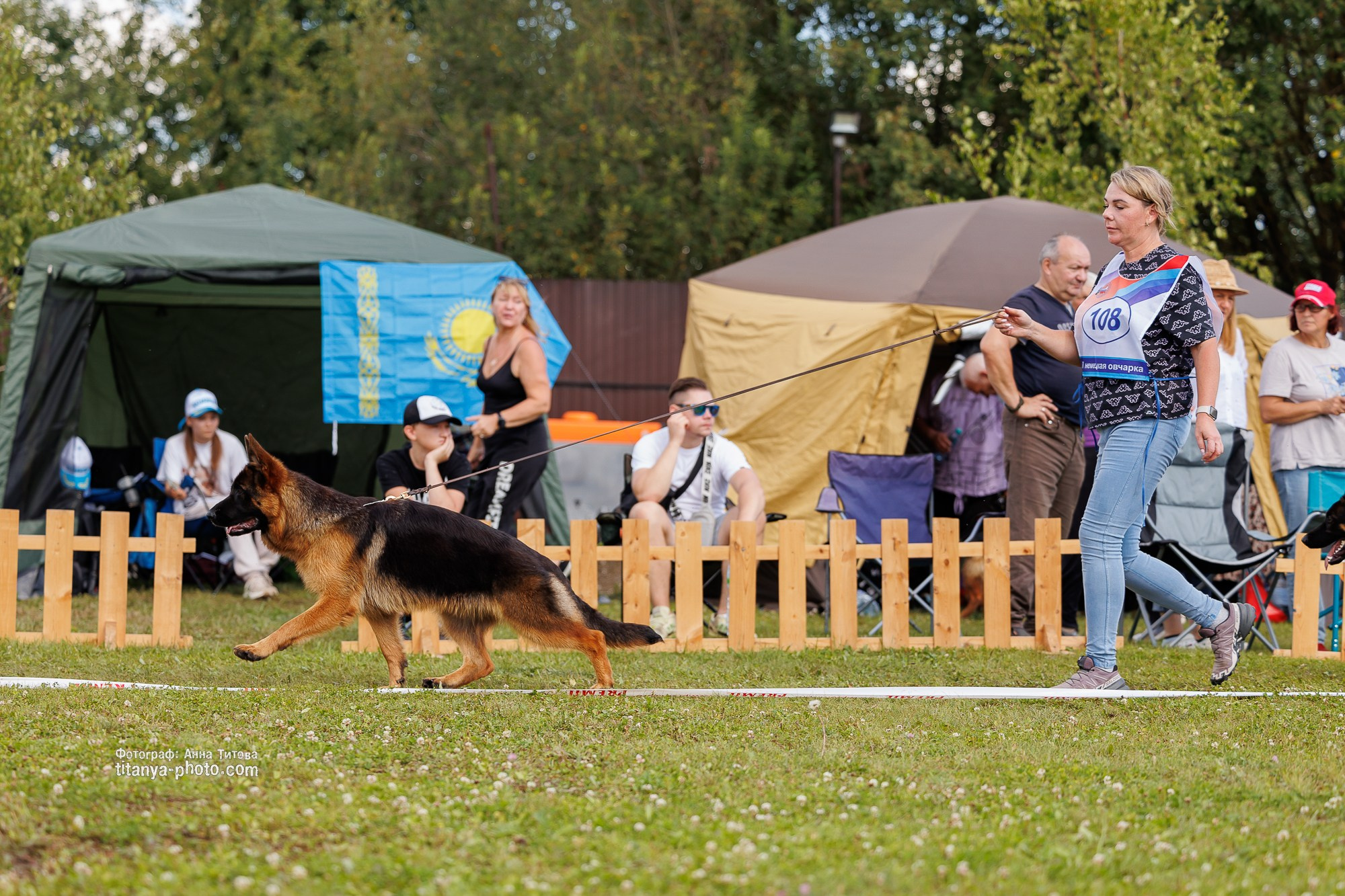 Немецкие овчарки: фото из рингов и вне ринга, мутпроба (фотографии с выставок). Фотограф собак, фотограф-анималист Аня Титова (Titanya). Москва