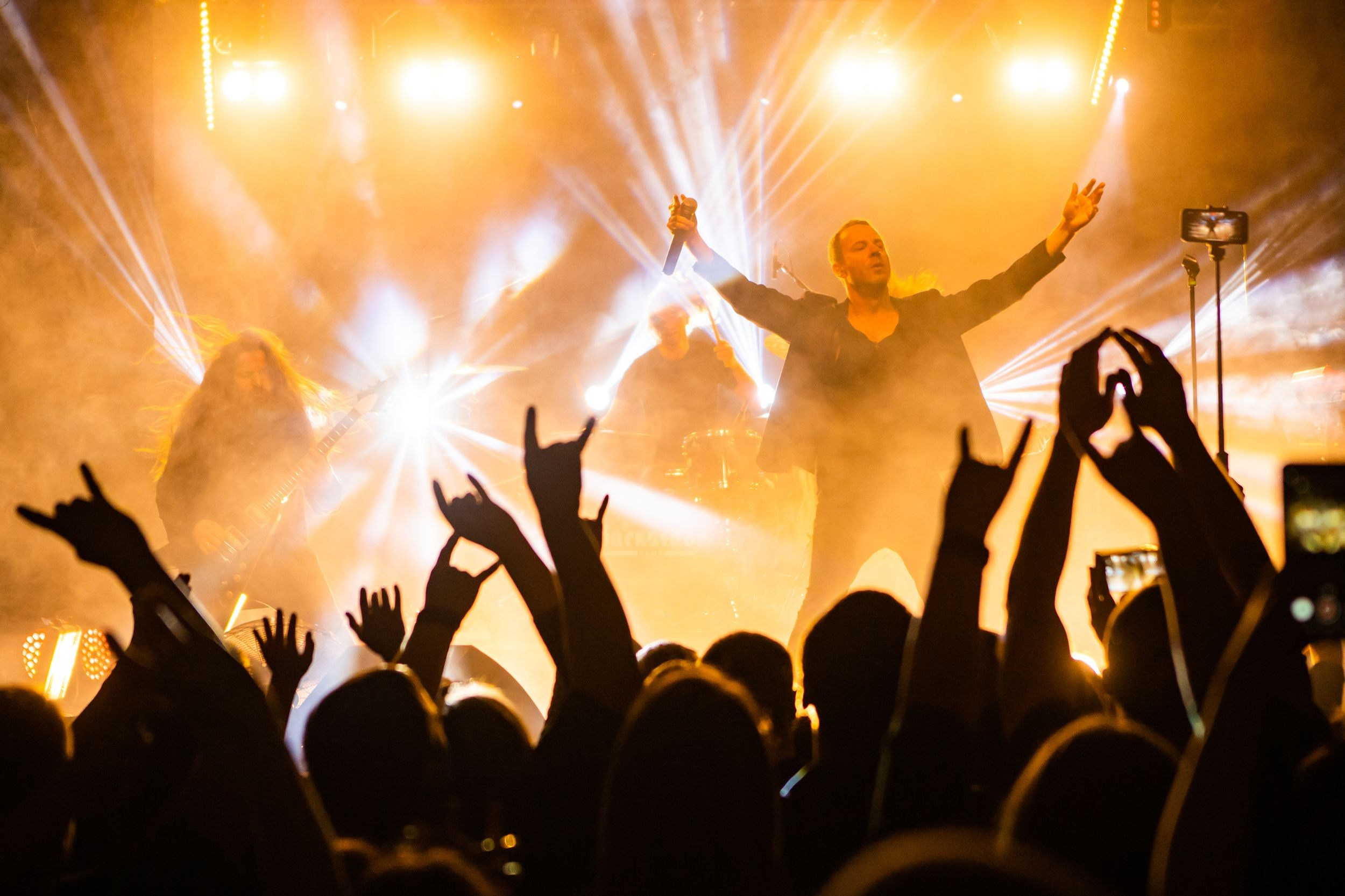 Animal ДжаZ. Репортажный фотограф Алексей Пирязев