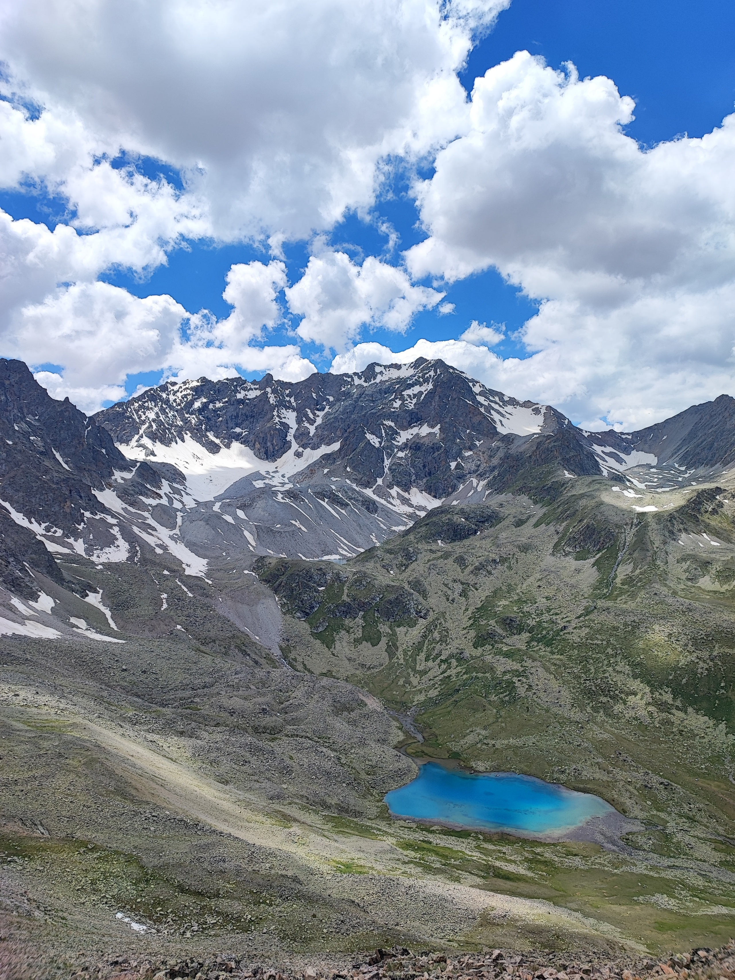 Намобилкус кавказский. Репортажный фотограф Алексей Пирязев