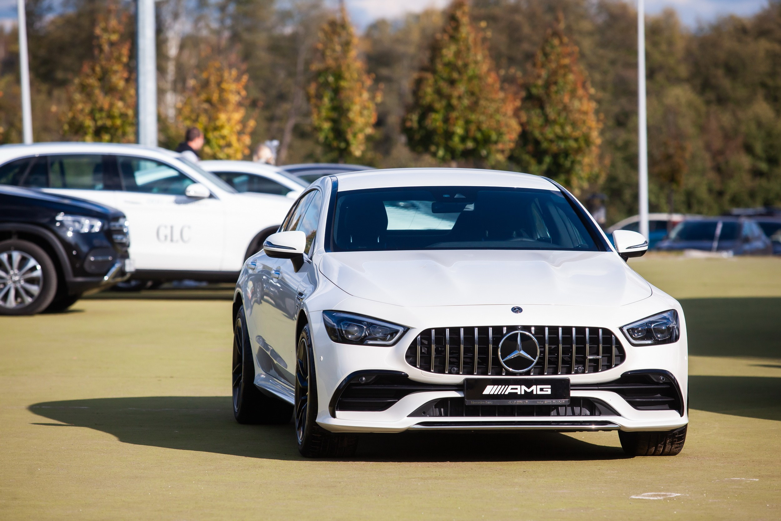 Кубок Губернатора по конкуру (21 сентября 2019). Репортажный фотограф Алексей Пирязев
