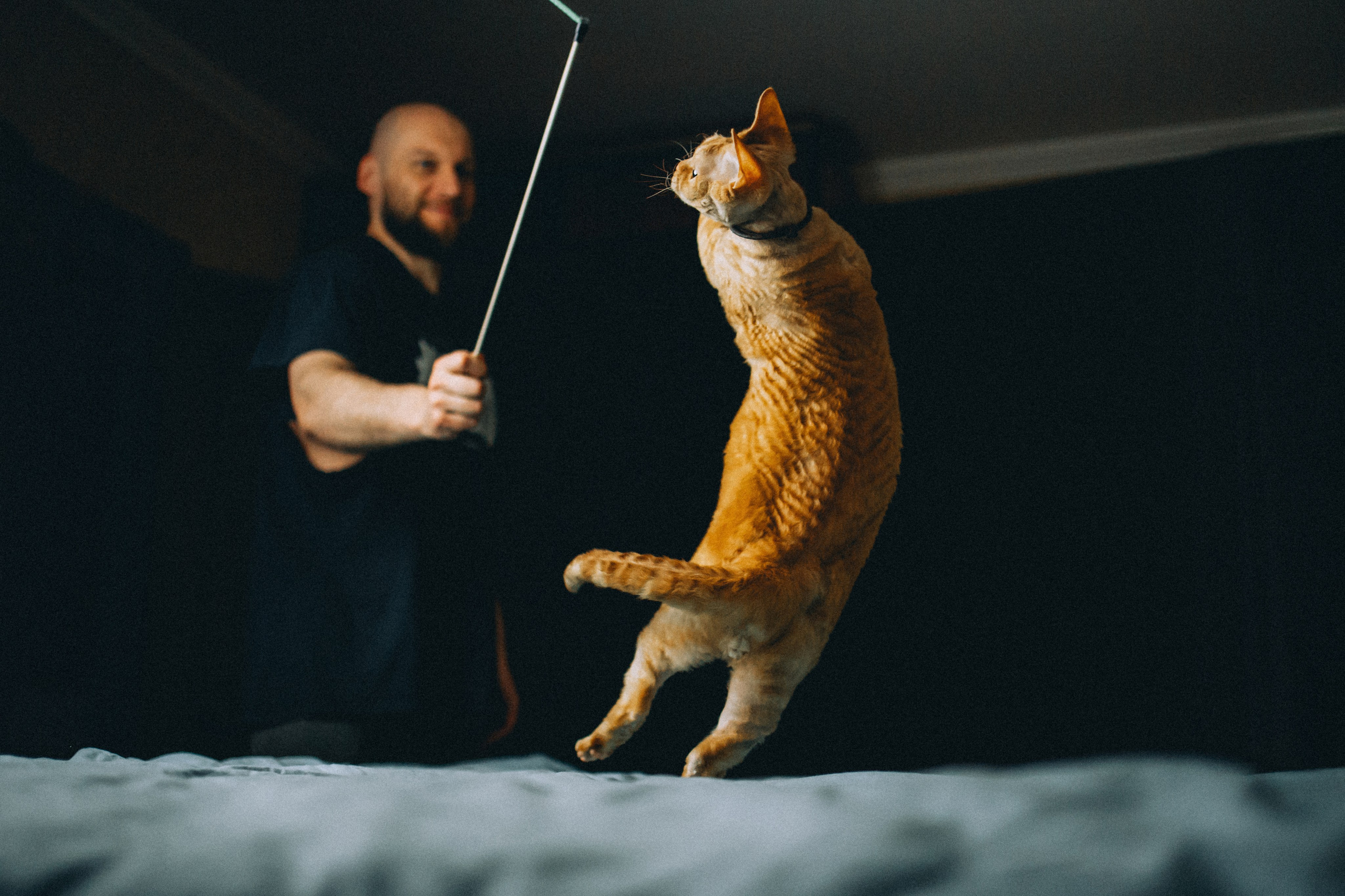 Гречка, Ковш и их семья