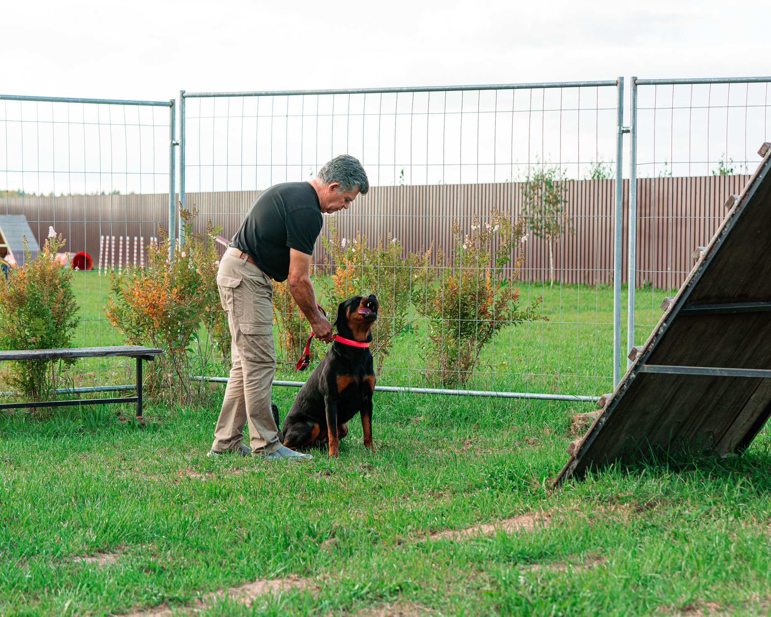 Ваш путь к ПОБЕДЕ (ТРЕНИРОВКИ). Фотограф-анималист, семейный фотограф в Москве и Подмосковье. Фотосъёмка кинологических дисциплин
