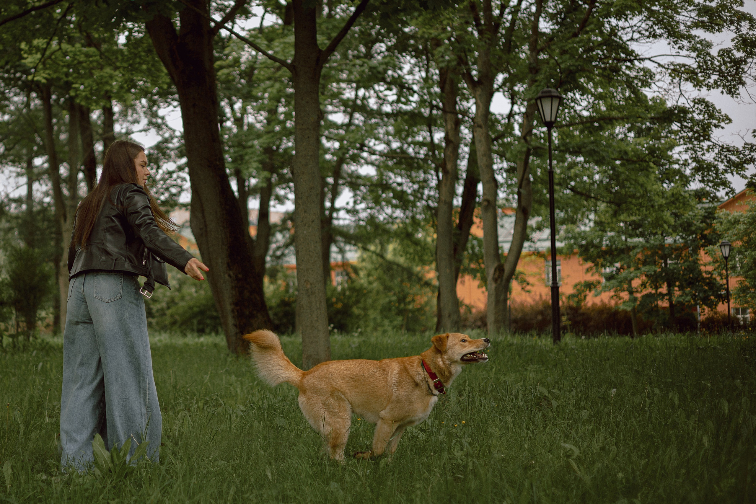 Света и Берт. Фотограф — анималист •love-story•|Санкт-Петербург