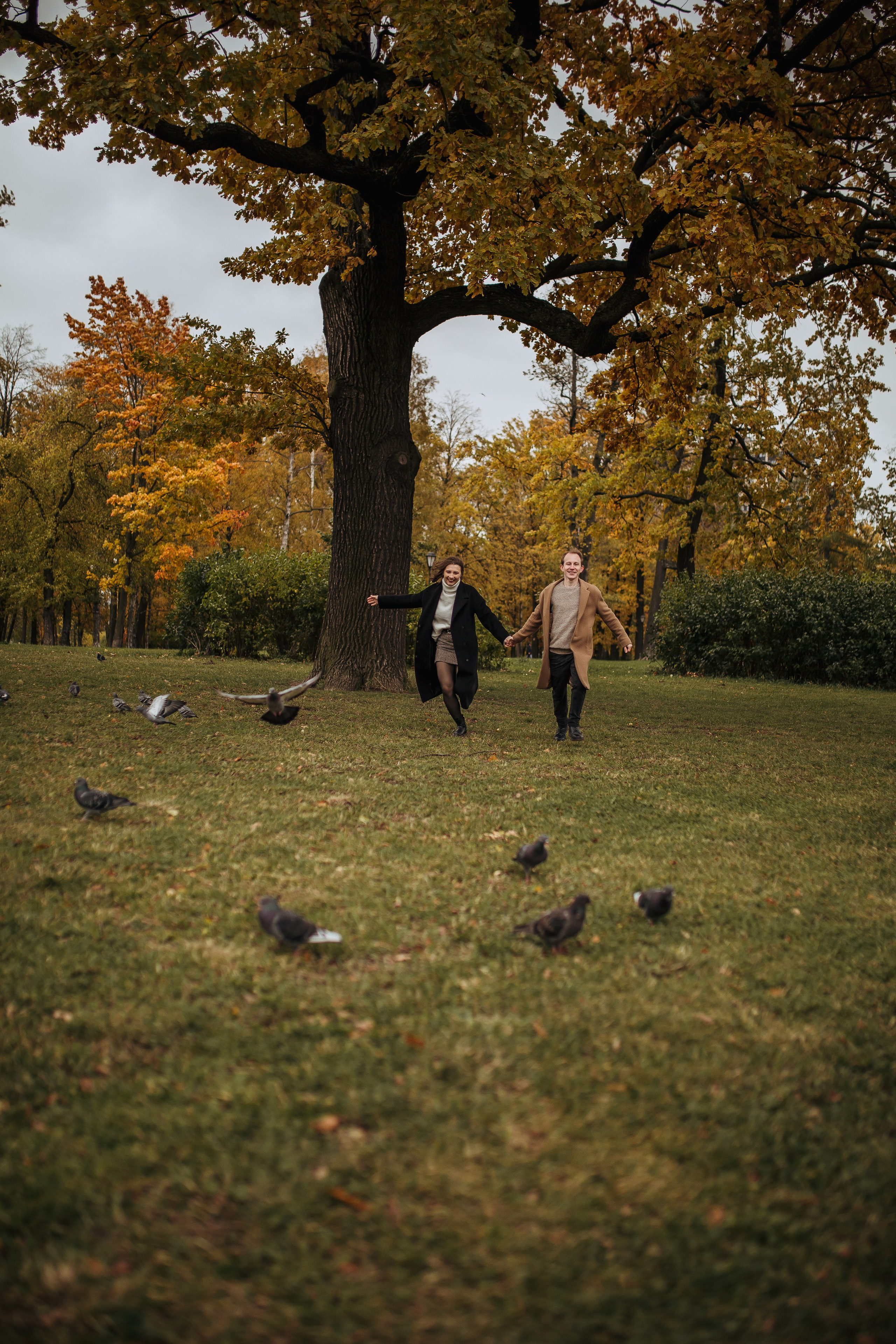 Елена & Роман предложение. Семейный и Свадебный фотограф в Санкт-Петербурге Плохая Екатерина
