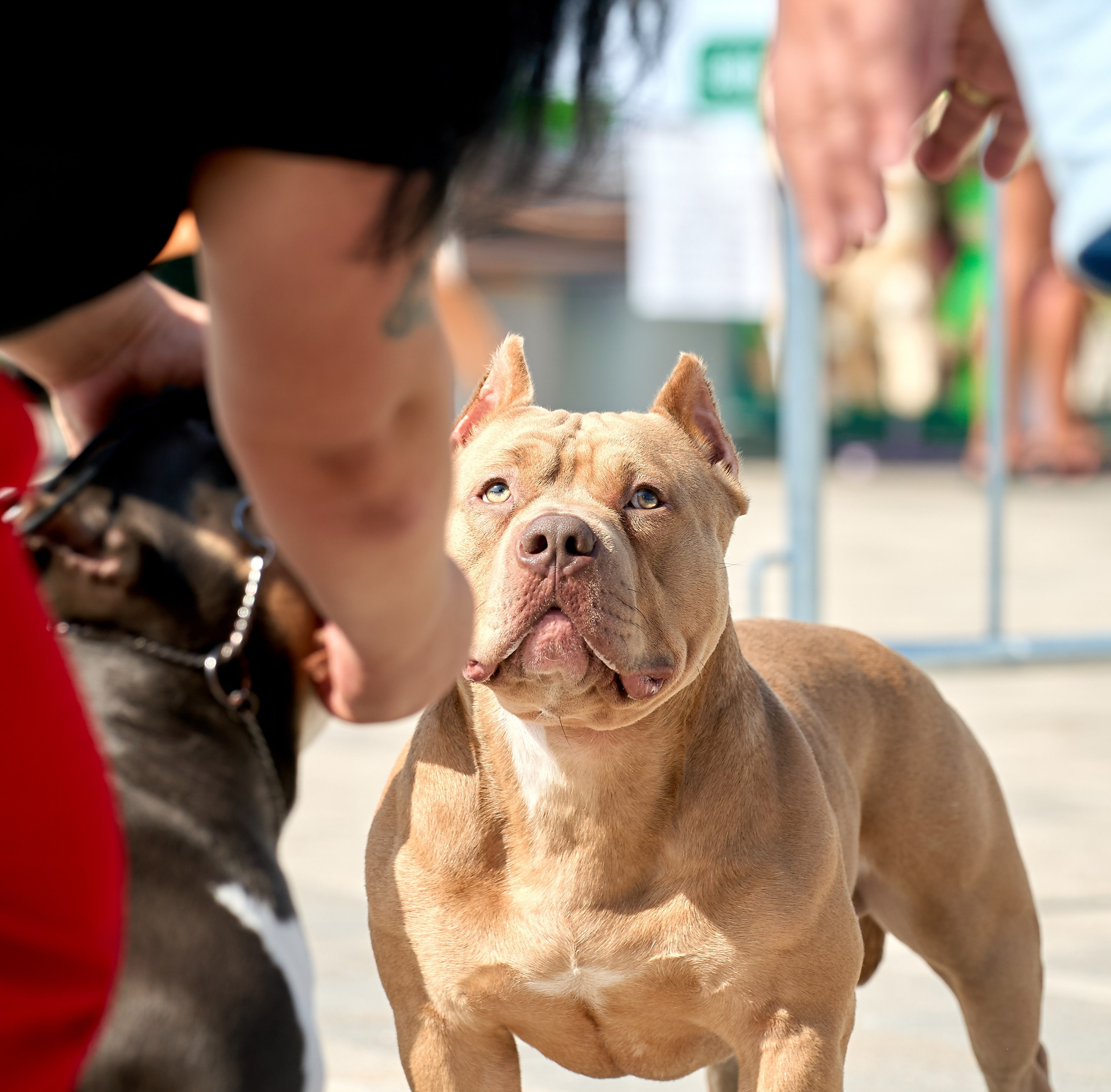 Съемка на выставке Ясенево
