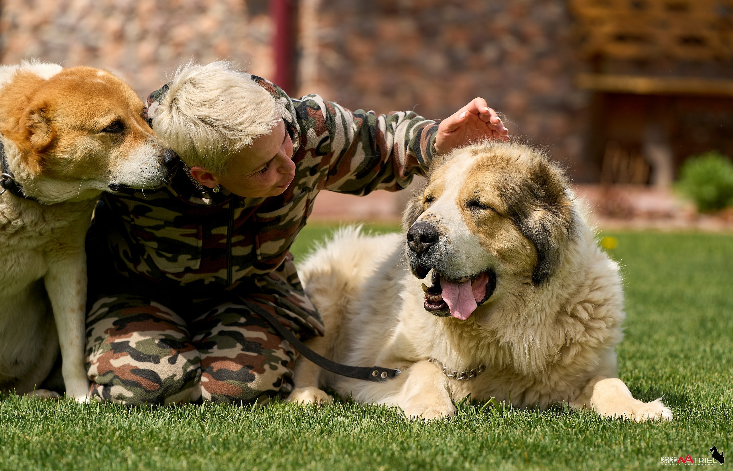 Съемка в питомнике