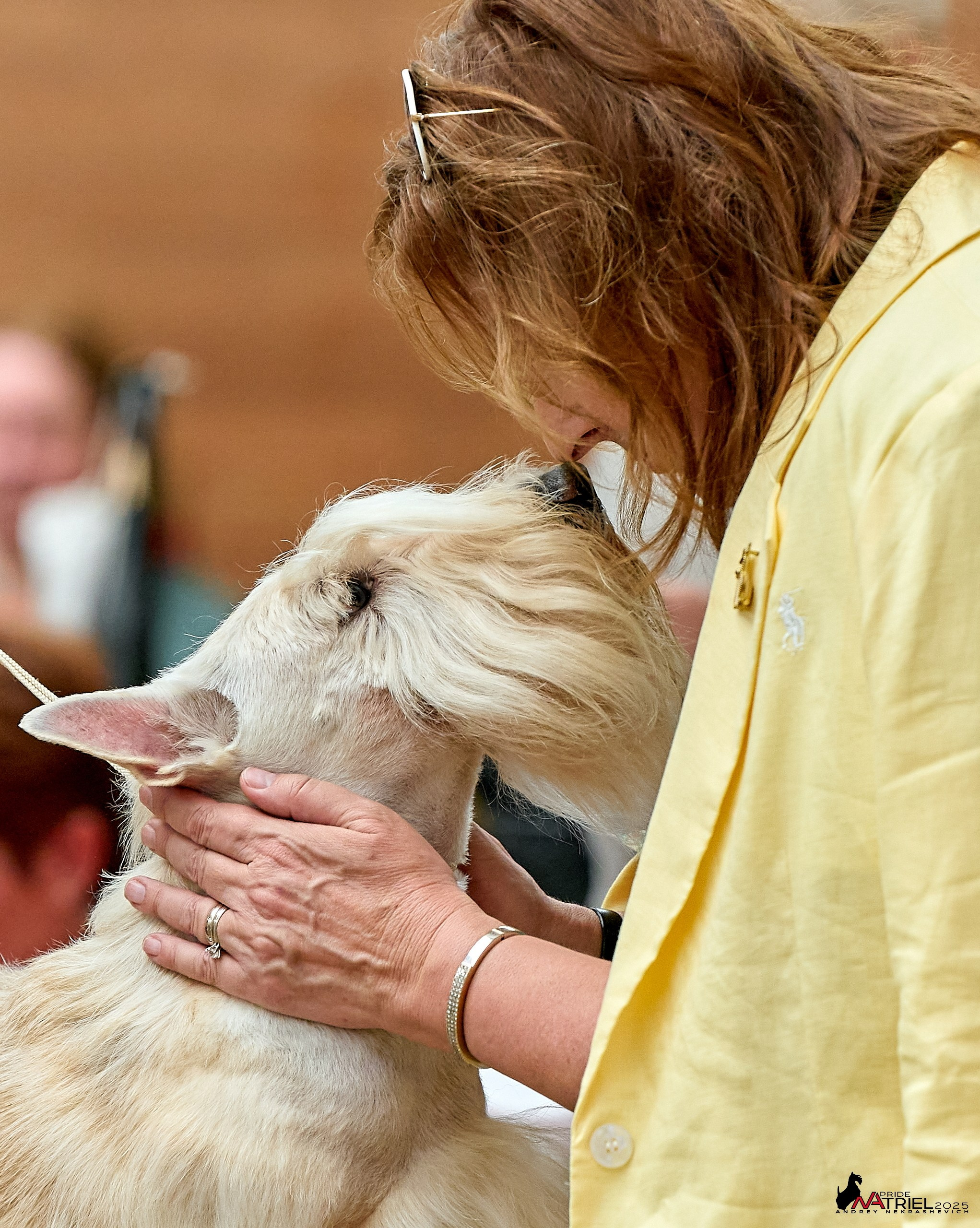 Выставка собак РОССИЯ — 2025