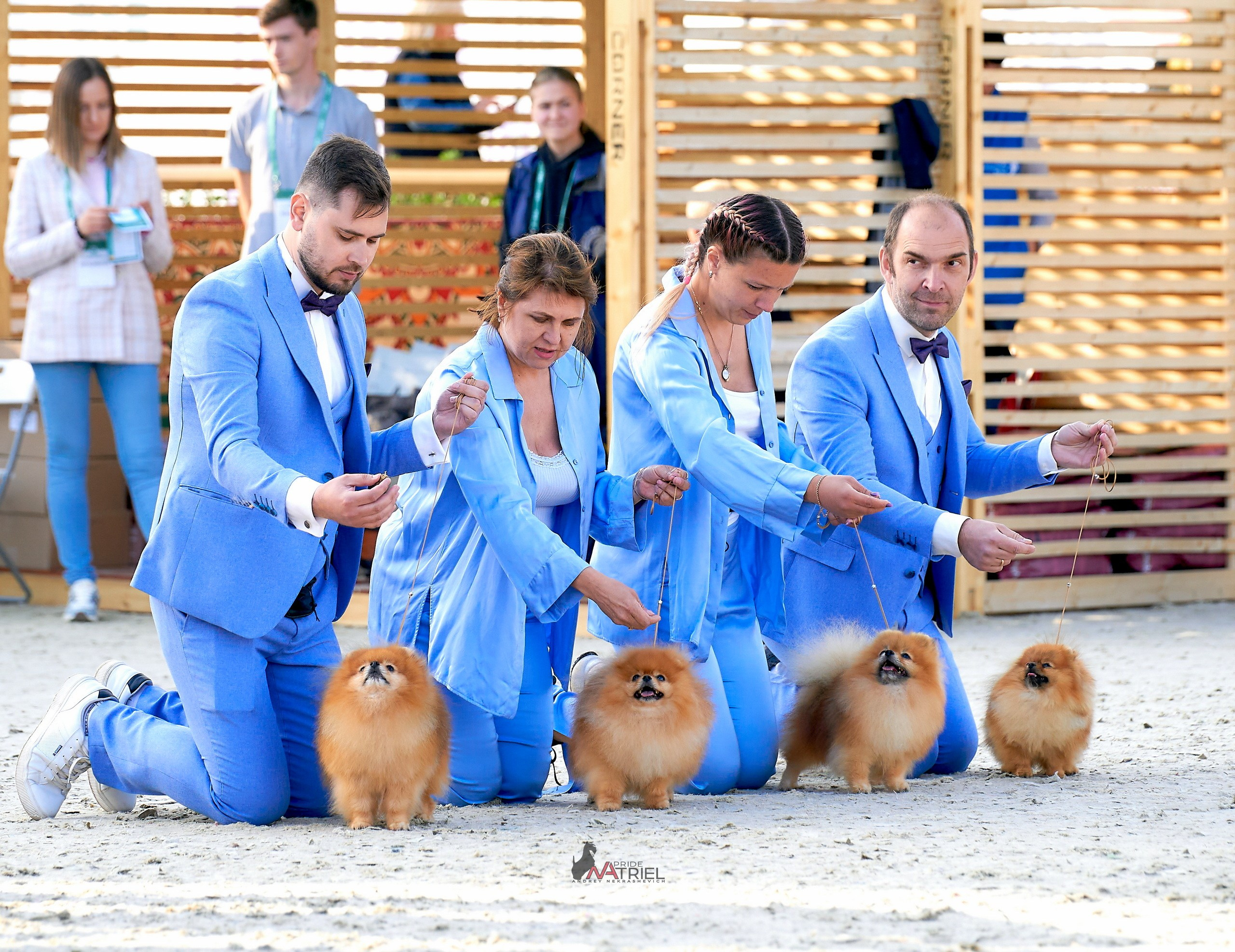 Работа в рингах — галерея NATRIEL