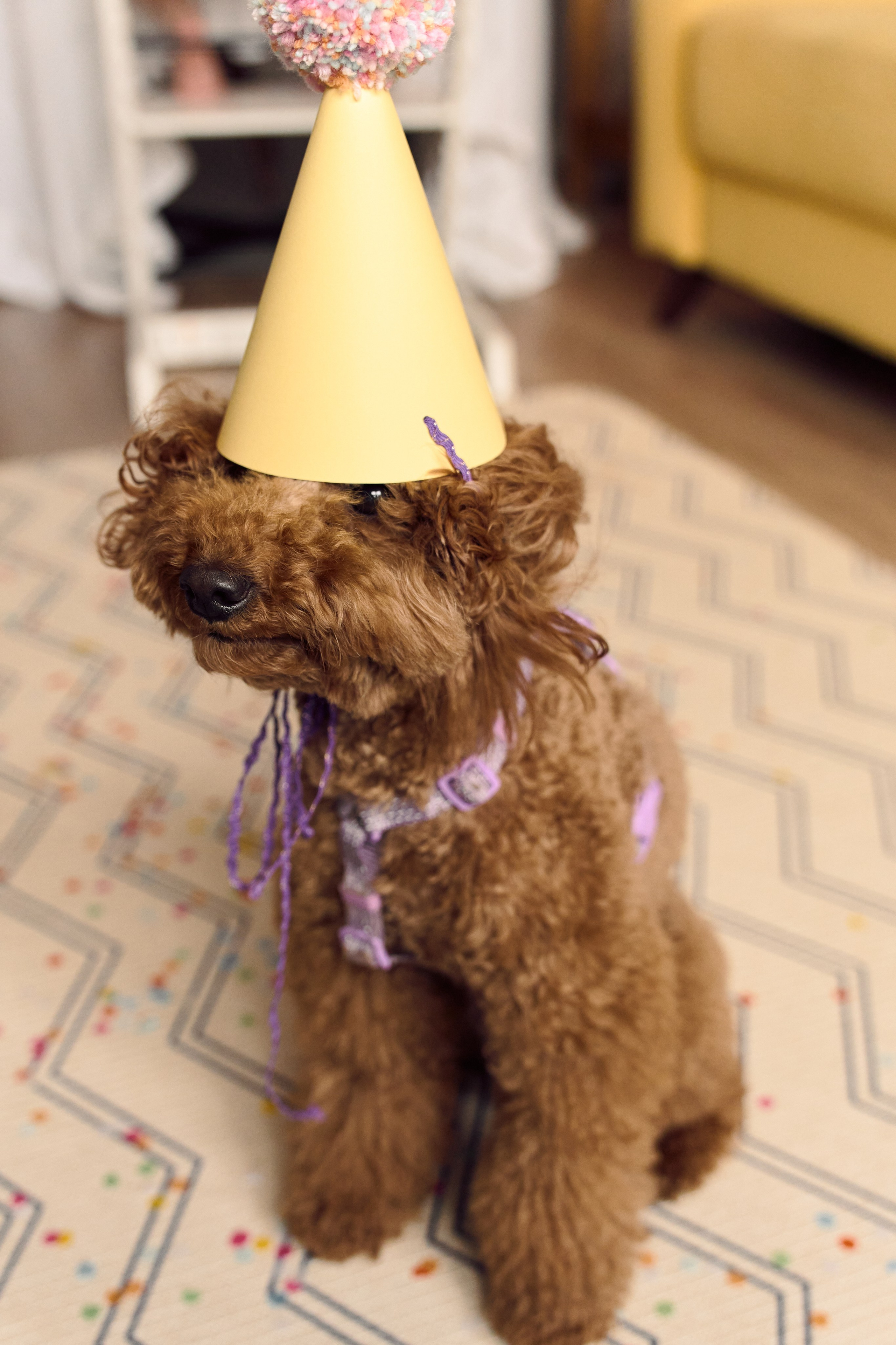 Ульяше 4 года!. Фотограф Москва и Екатеринбург. Максимова Соня