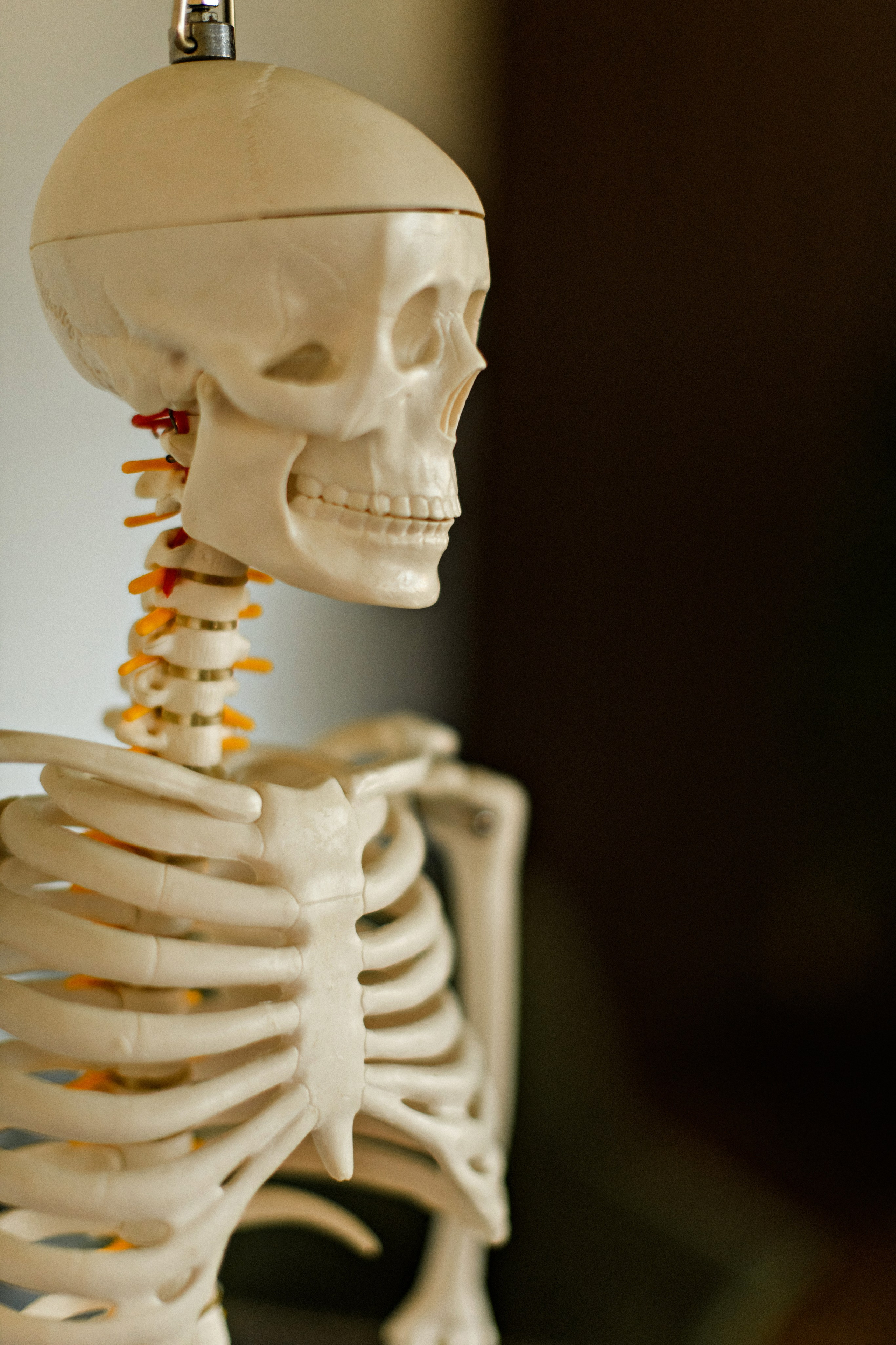 Остеопат. Свадебный фотограф в Санкт-Петербурге София Шубик