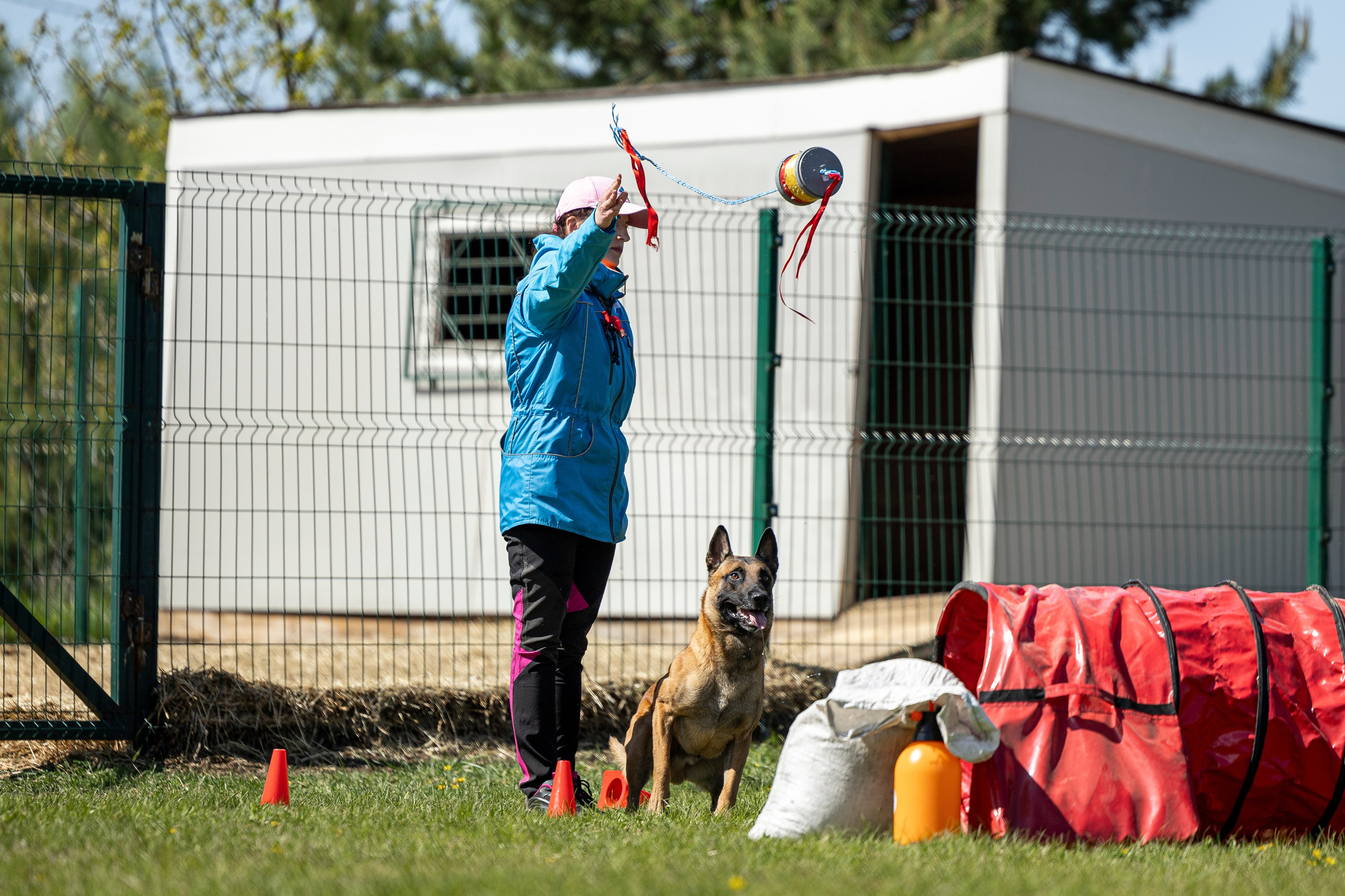 Испытания по мондьорингу в Нижнем Новгороде. Фотограф-анималист Анна Маринич