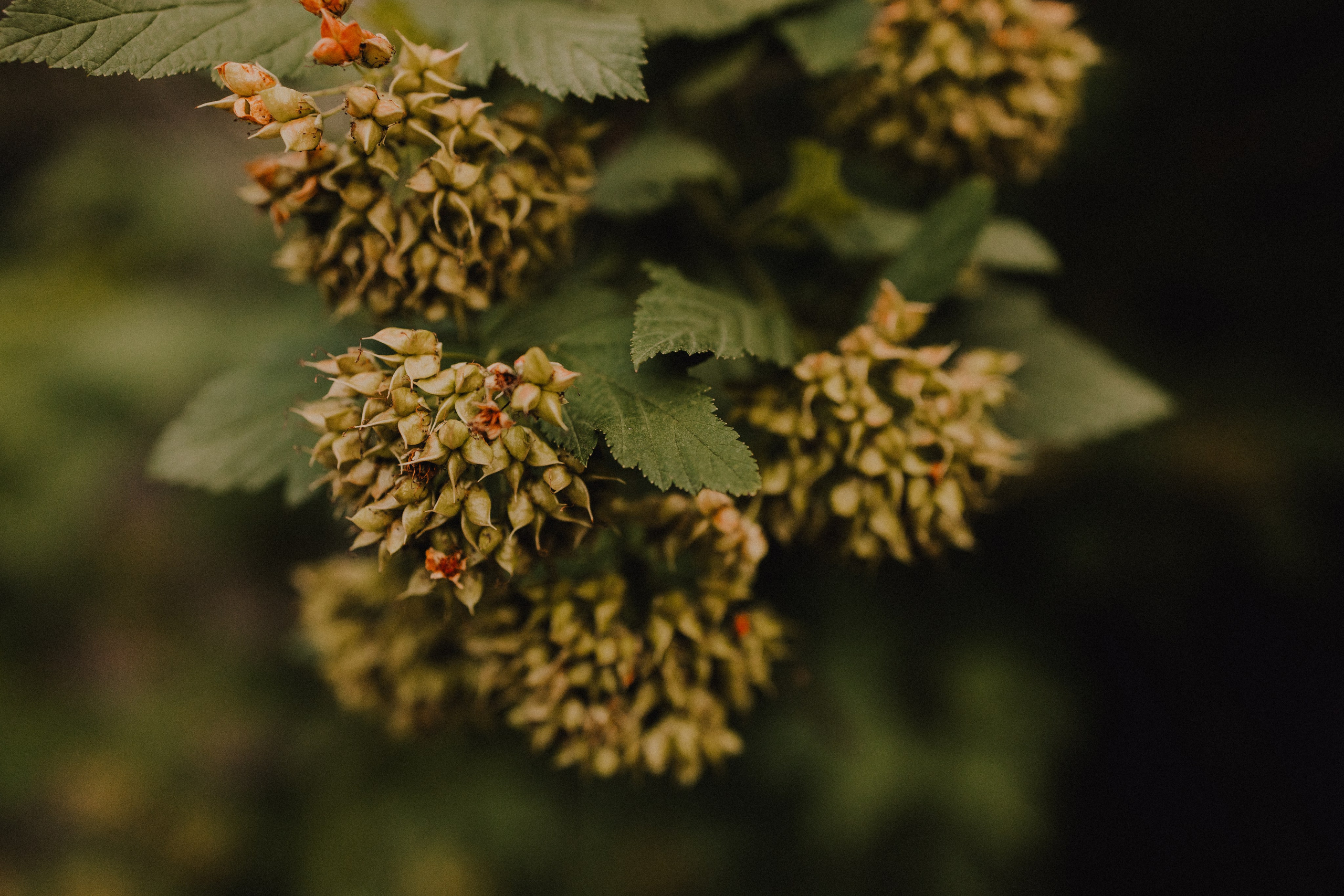 На лужайке. Семейный фотограф Москва