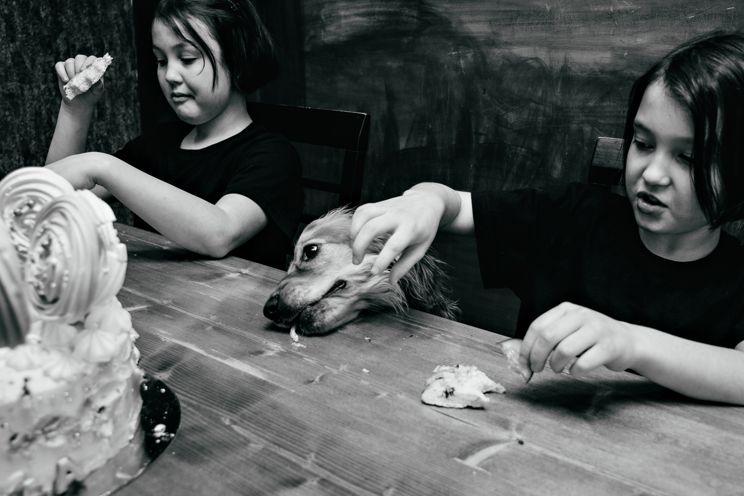 Давлат и Дамир…. Семейный фотограф и видеограф Анастасия Брежнева