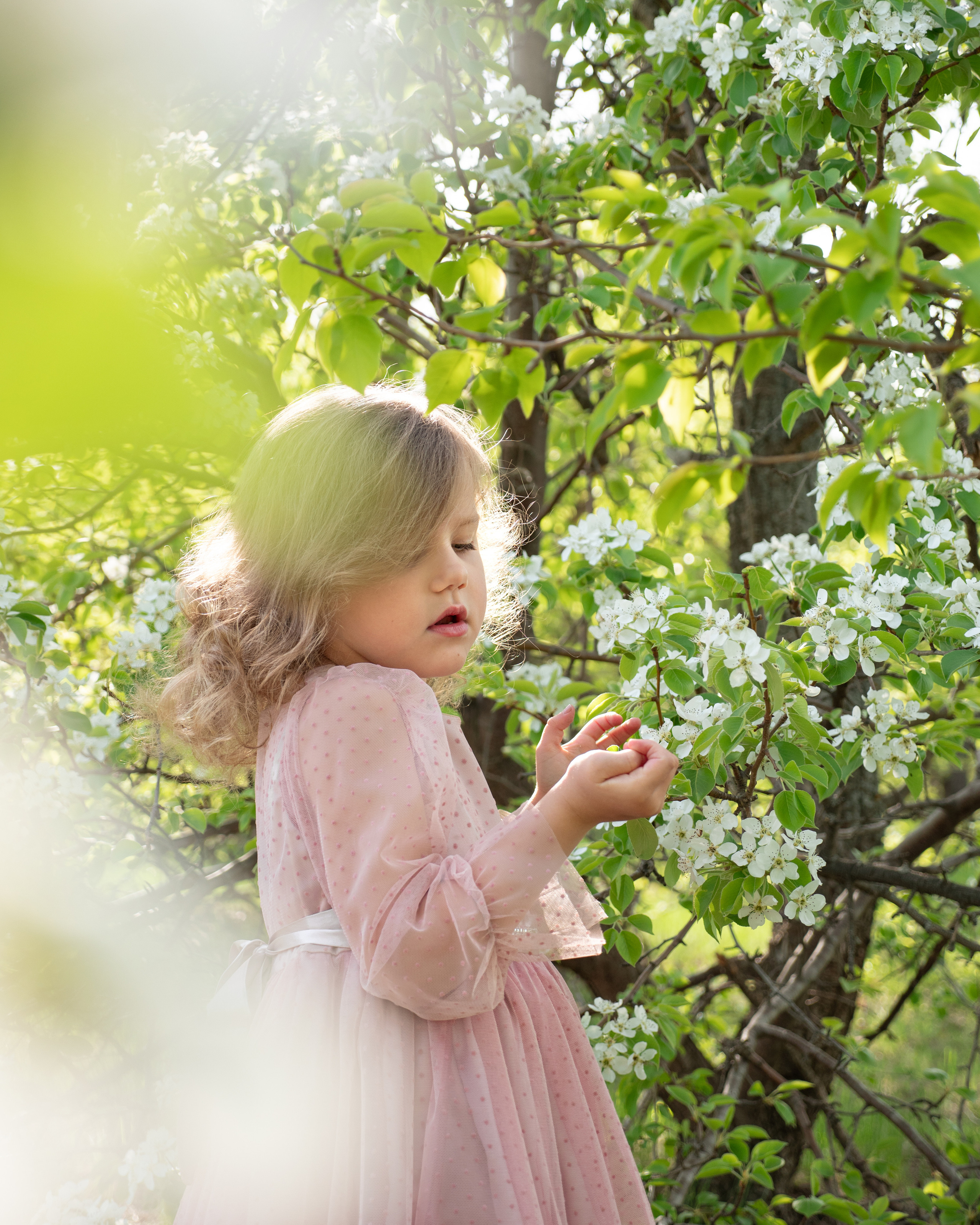 Семейный фотограф и видеограф Анастасия Брежнева