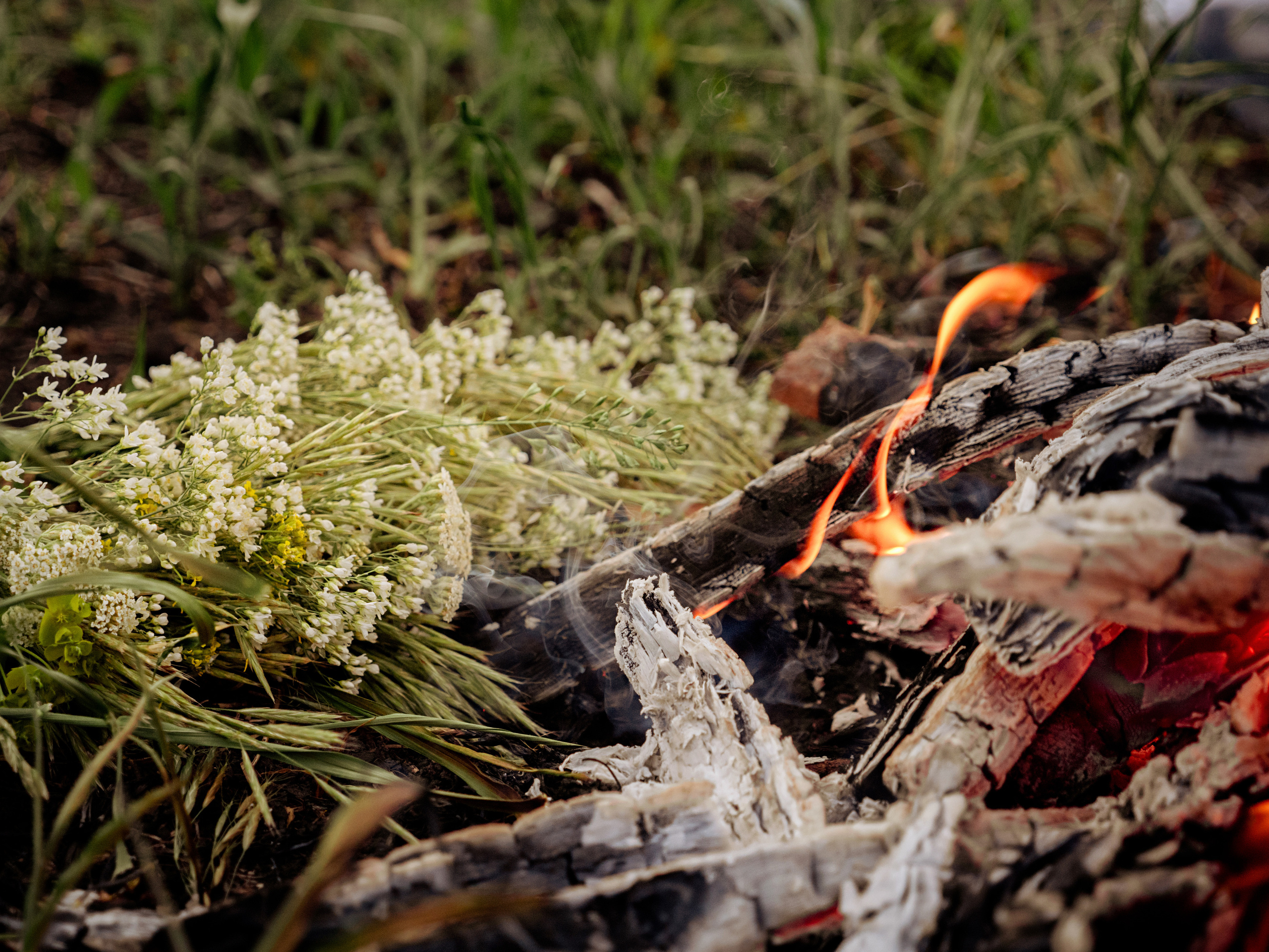 Однажды в июле…. Семейный фотограф и видеограф Анастасия Брежнева