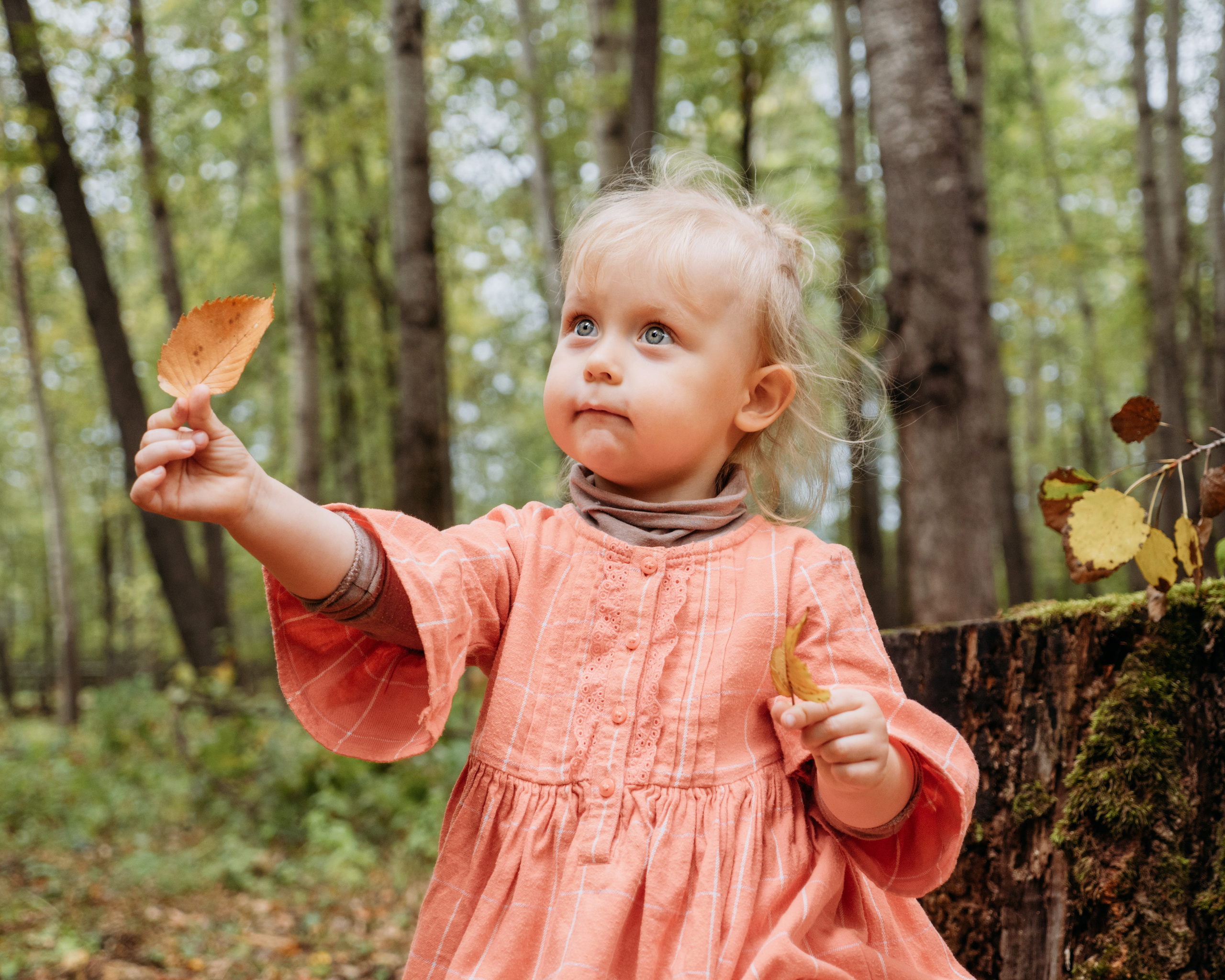 Тёплый сентябрь…. Семейный фотограф и видеограф Анастасия Брежнева