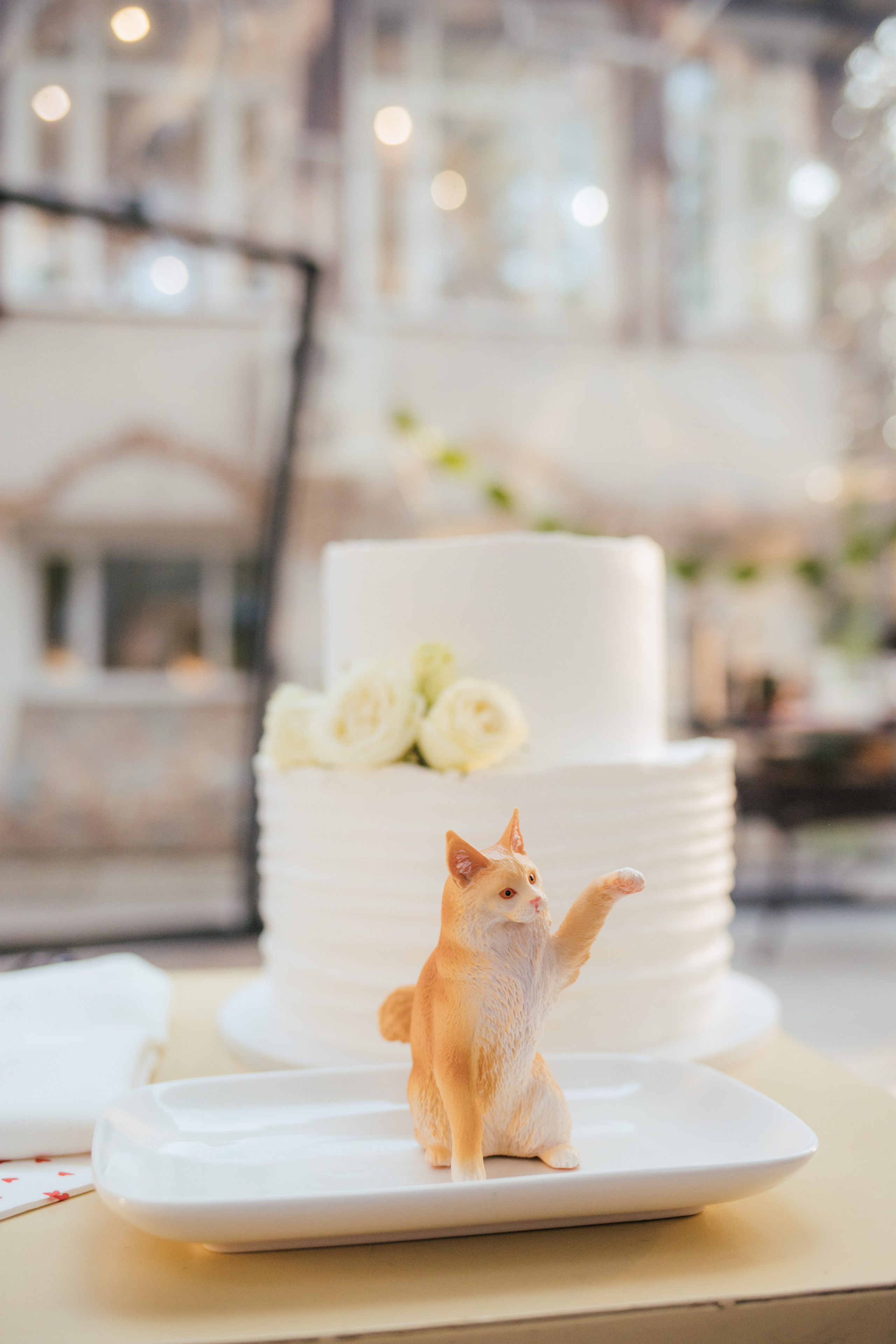 LENA + DIMA. Photographer Alina Skitovich